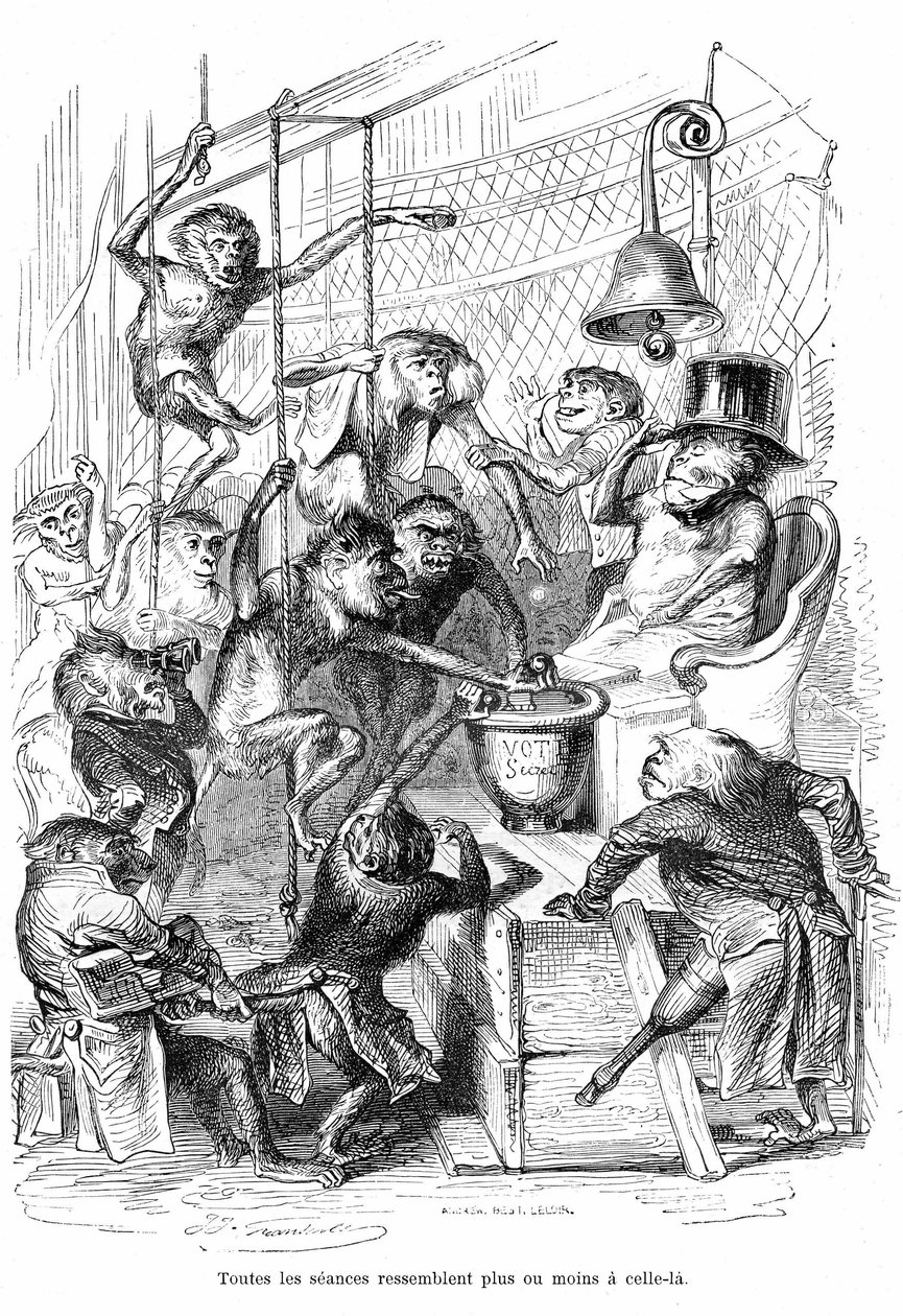 Caricature : La Chambre des Députés vue comme un Palais des Singes - Gravure de Grandville, extraite du livre Vie privée et publique des animaux, édition Hetzel 1867 p. 566 - Chapitre intitulé Tablettes de la Girafe - Grandville (1803 47)