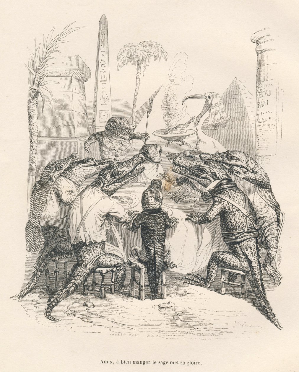 Crocodiles autour d