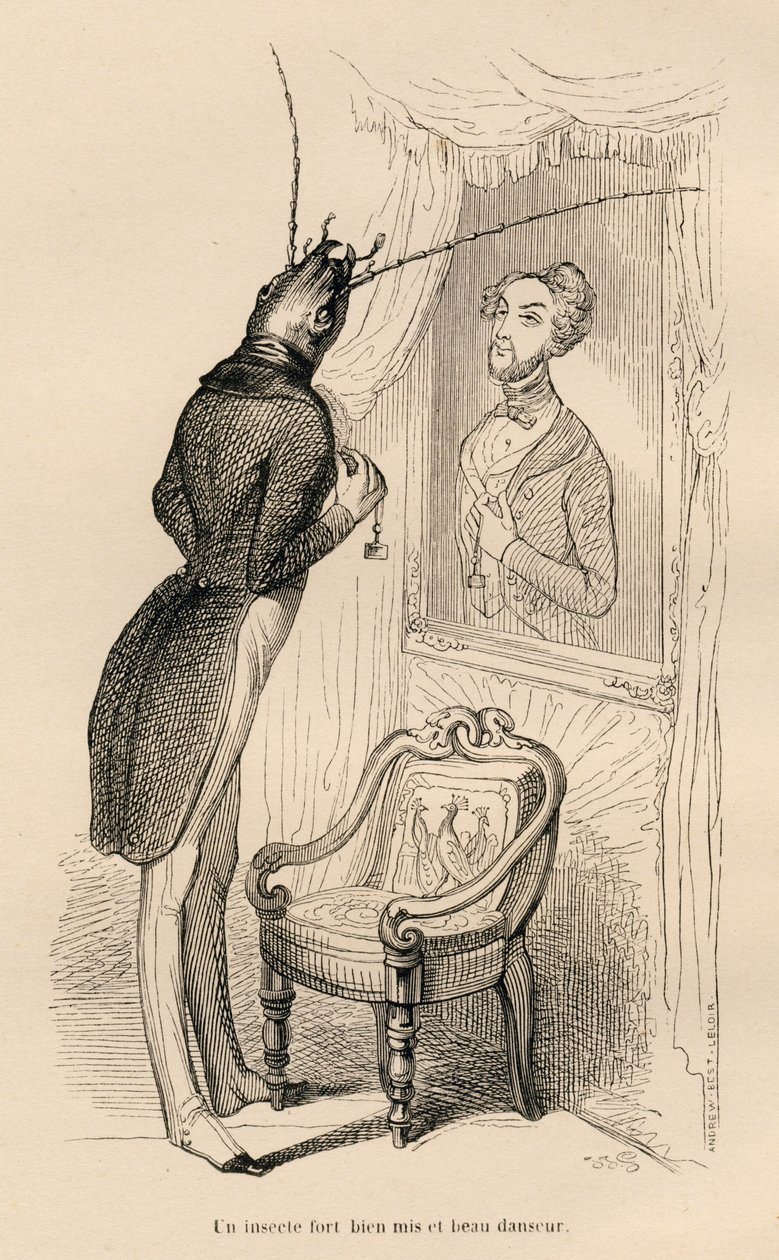 Insecte regardant son reflet humain dans le miroir (Les aventures d