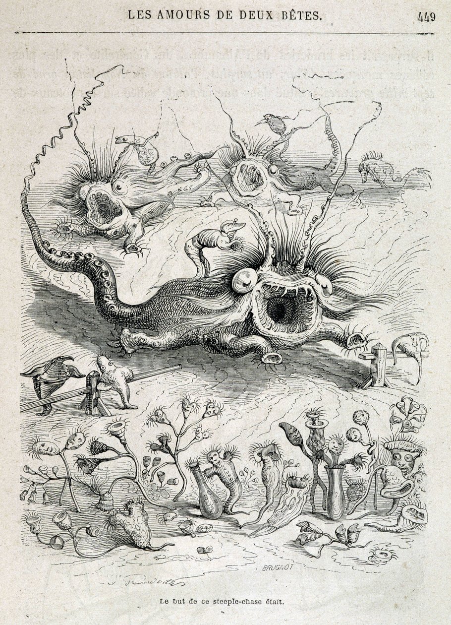 Les amours de deux bêtes (steeple-chase de monstres) - dans « Les animaux peints par eux-mêmes : vie privée et publique des animaux » par Grandville, chapitre par Honoré de Balzac, éd. Hetzel - Grandville