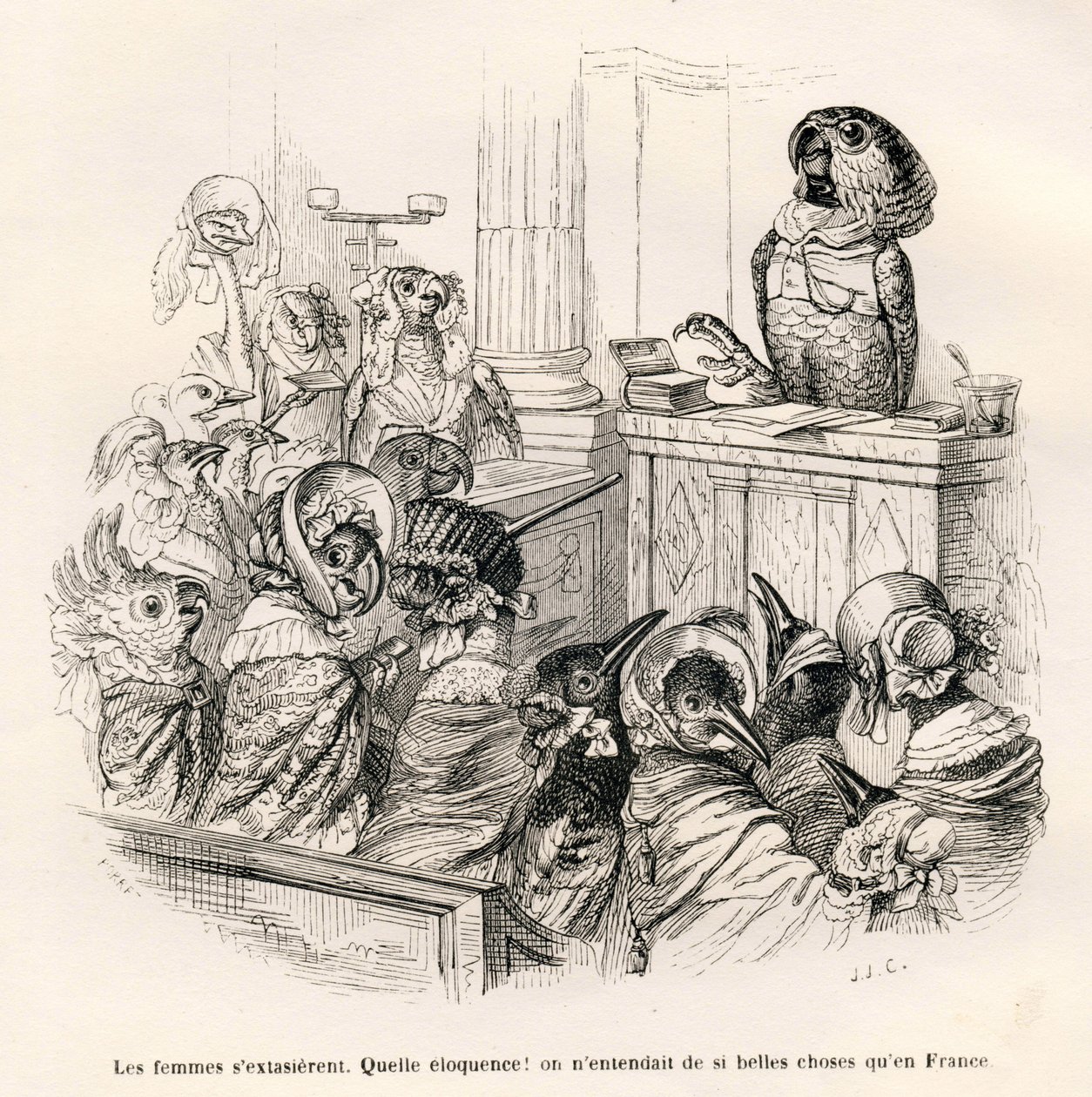 Perroquet éloquent - Grandville