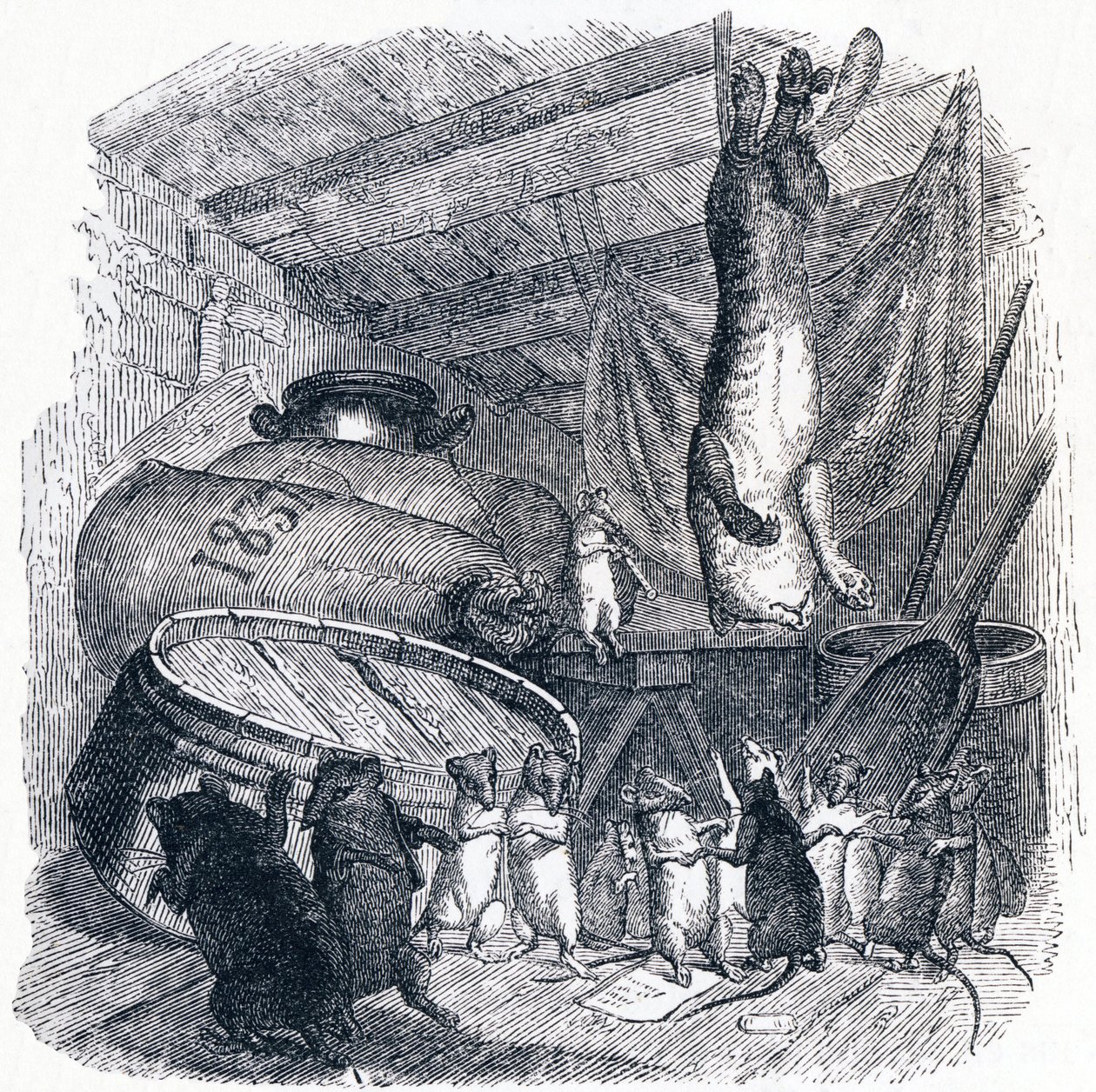 Le chat et un vieux rat - Fables de La Fontaine - Grandville