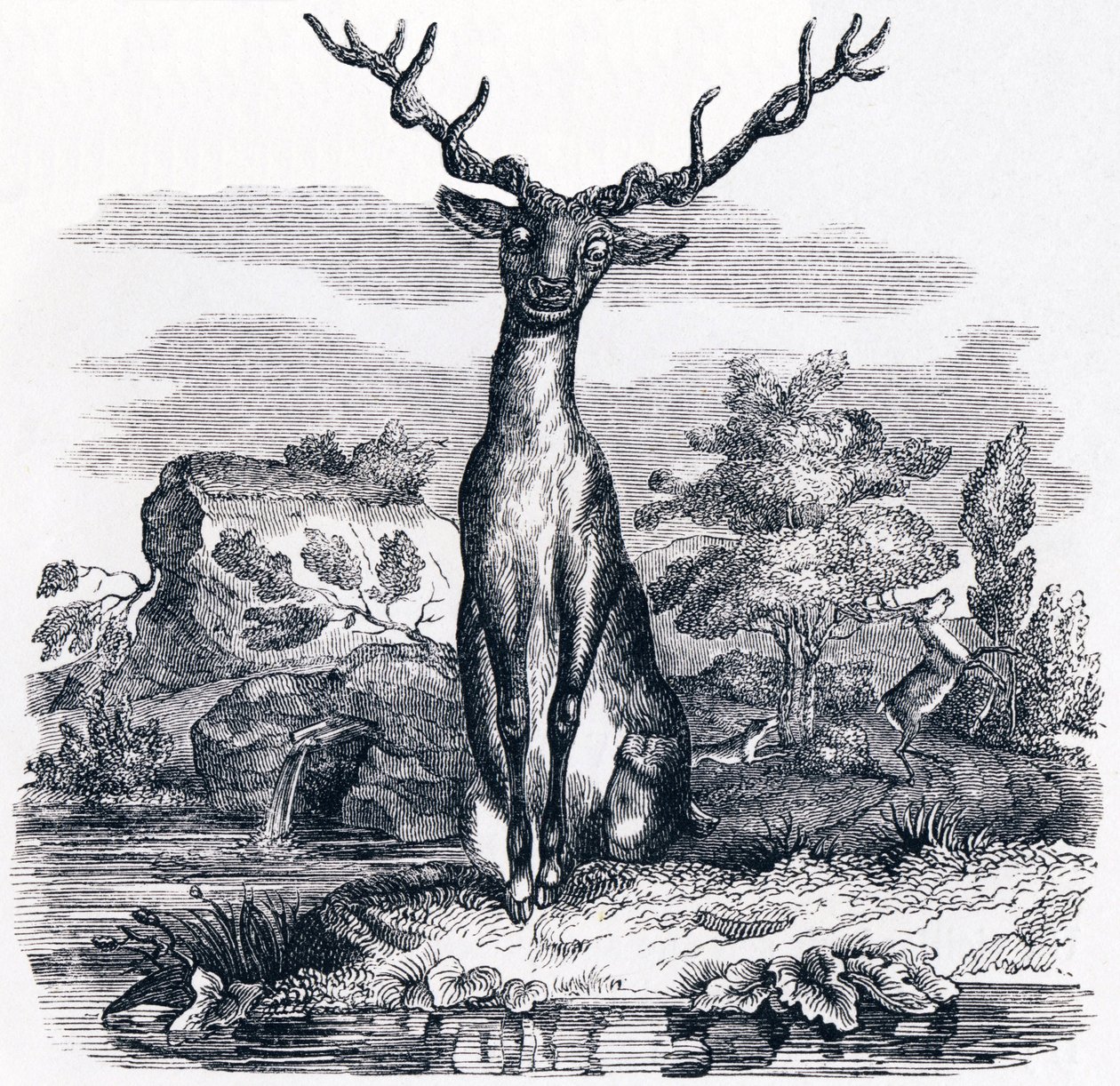 Le cerf se voyant dans l