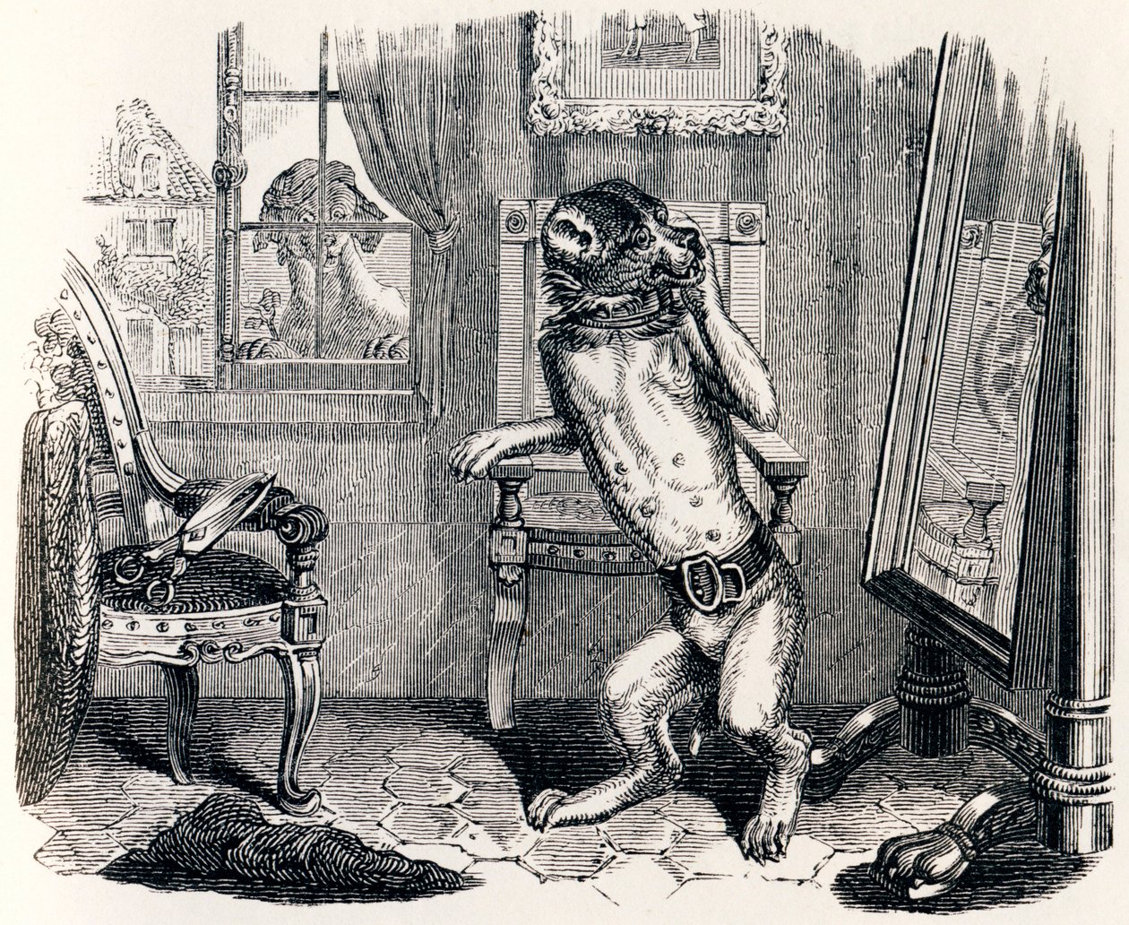 Le chien à qui on a coupé les oreilles - Fables de La Fontaine - Grandville