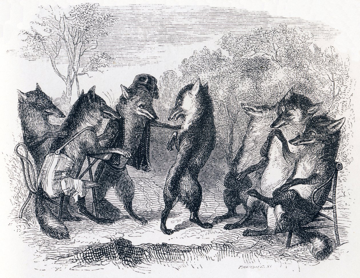 Le renard ayant la queue coupée - Fables de La Fontaine - Grandville