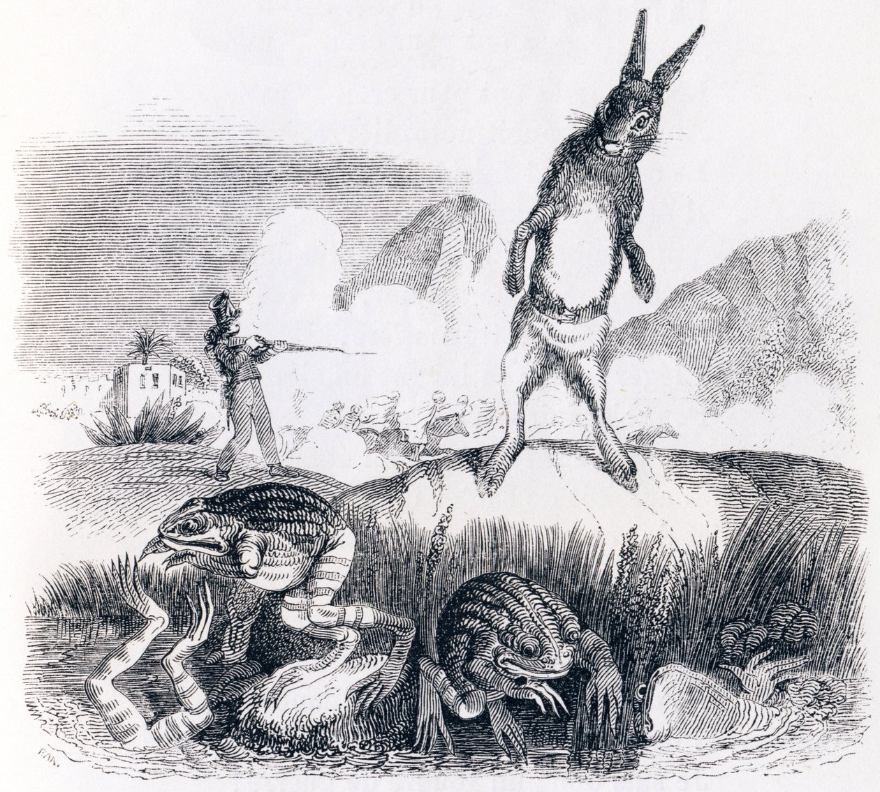 Le lièvre et les grenouilles - Fables de La Fontaine - Grandville