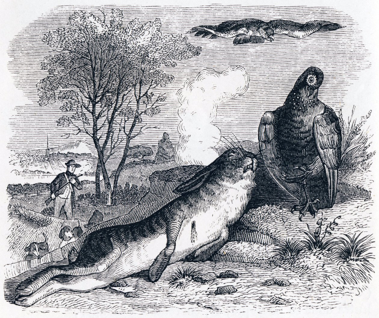 Le lièvre et la perdrix - Fables de La Fontaine - Grandville