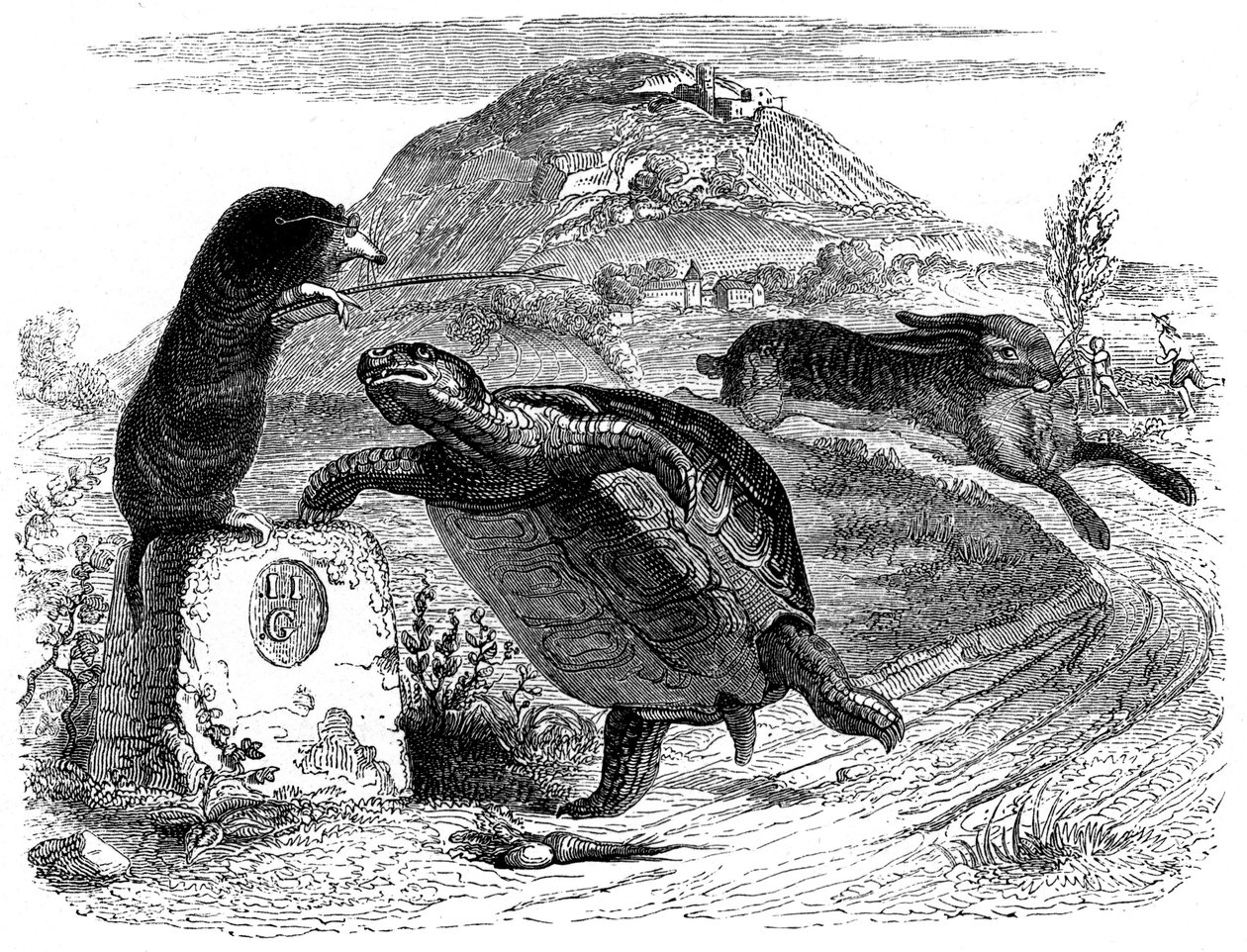 Le lièvre et la tortue : fable de La Fontaine illustrée par Grandville - Grandville (1803-47)