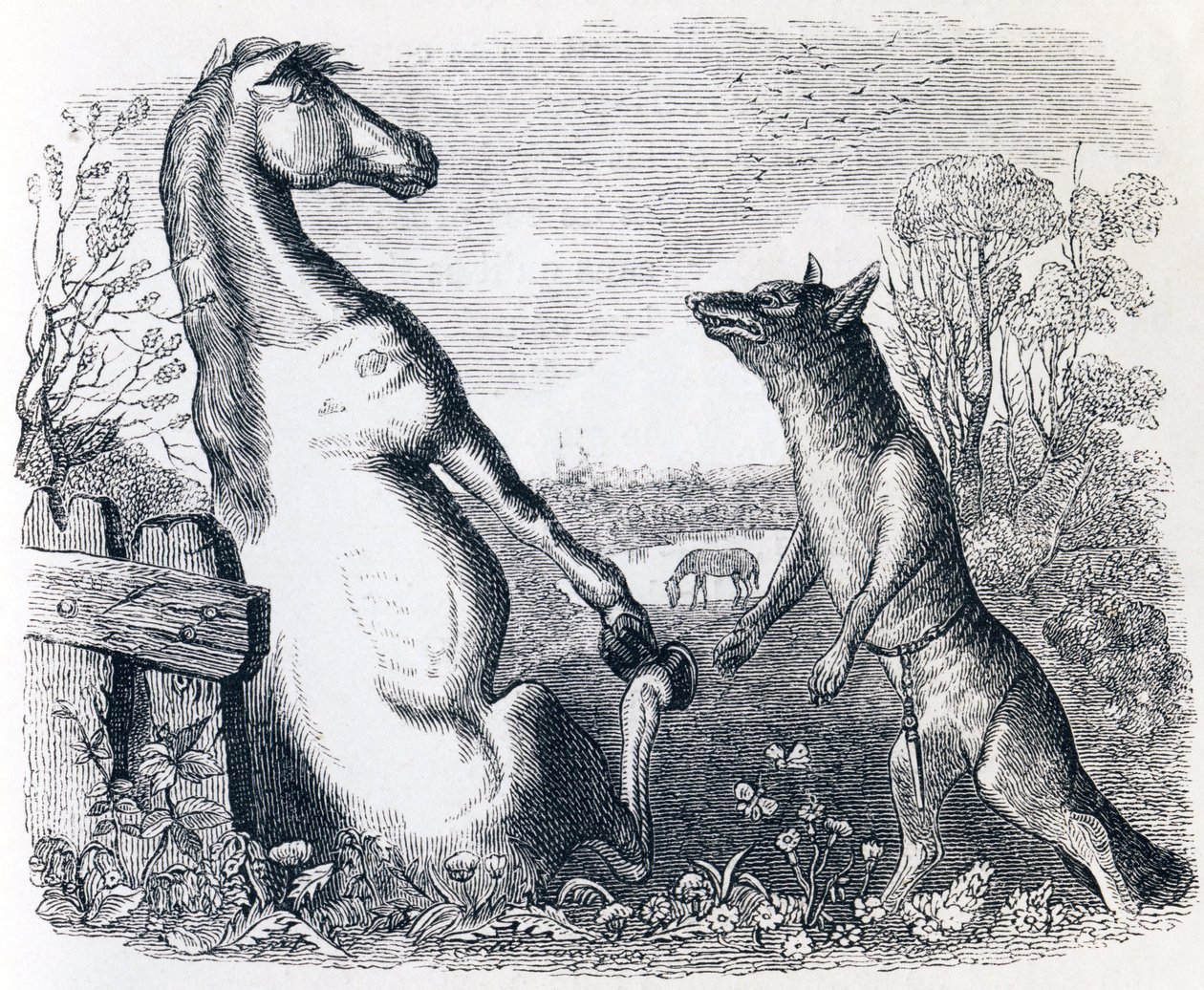 Le cheval et le loup - Fables de La Fontaine - Grandville
