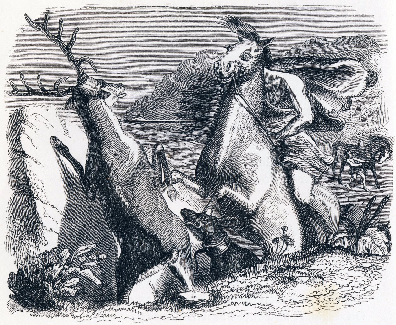 Le cheval s