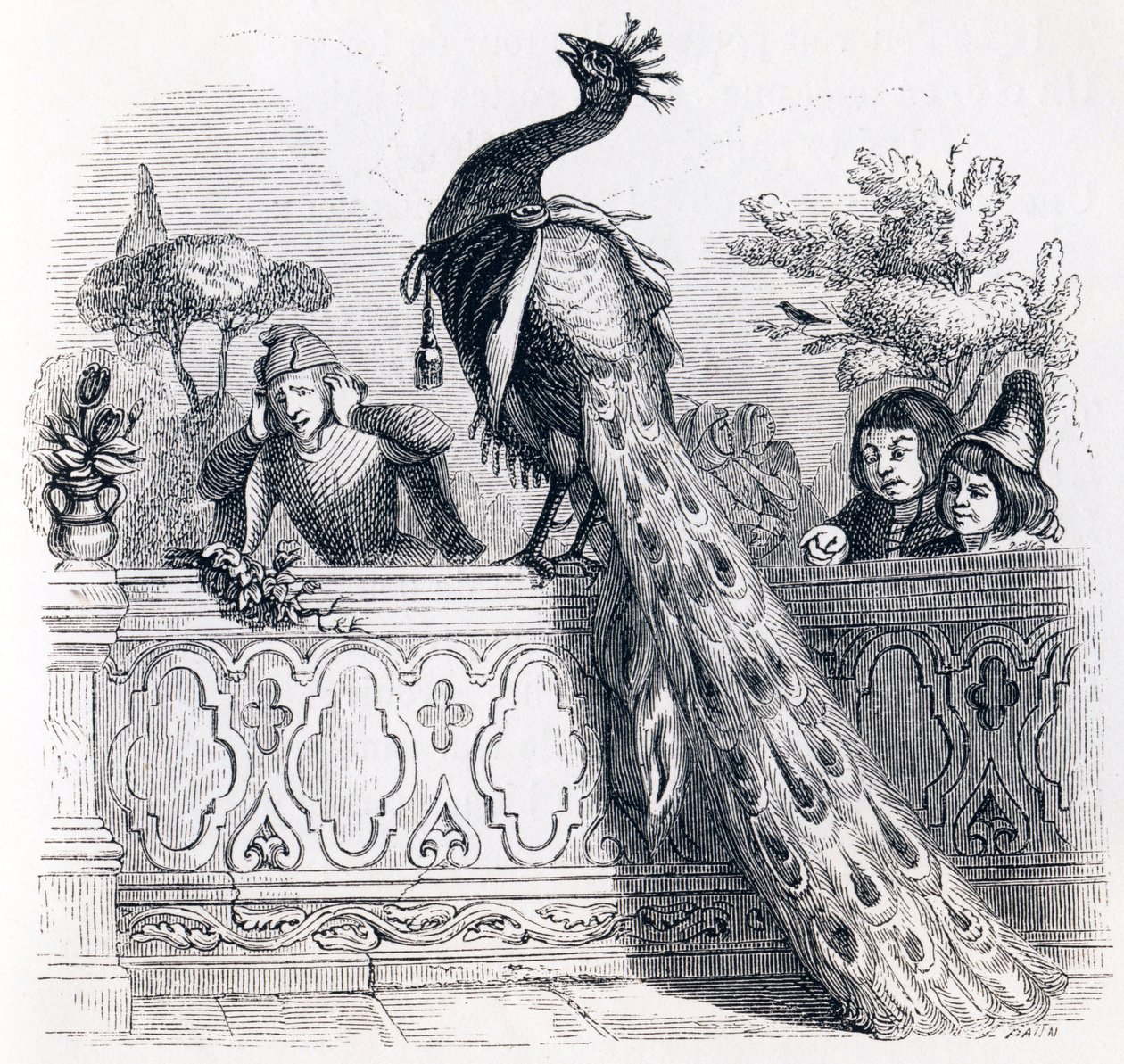 Le paon se plaignant à Junon - Fables de La Fontaine - Grandville