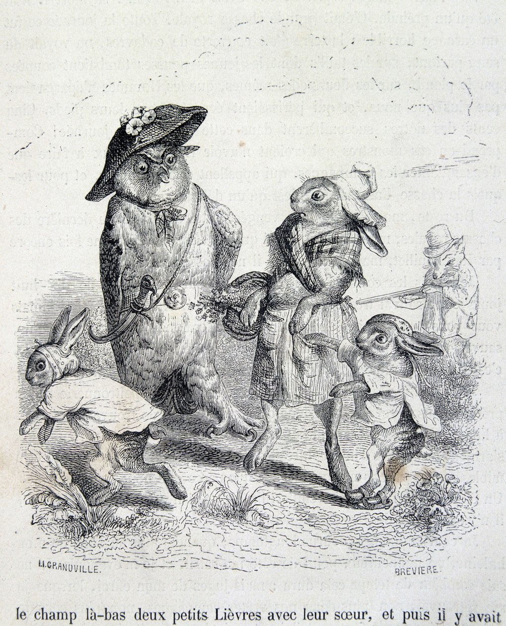 Les deux petits lièvres, leur sœur et le hibou - par Grandville - Grandville