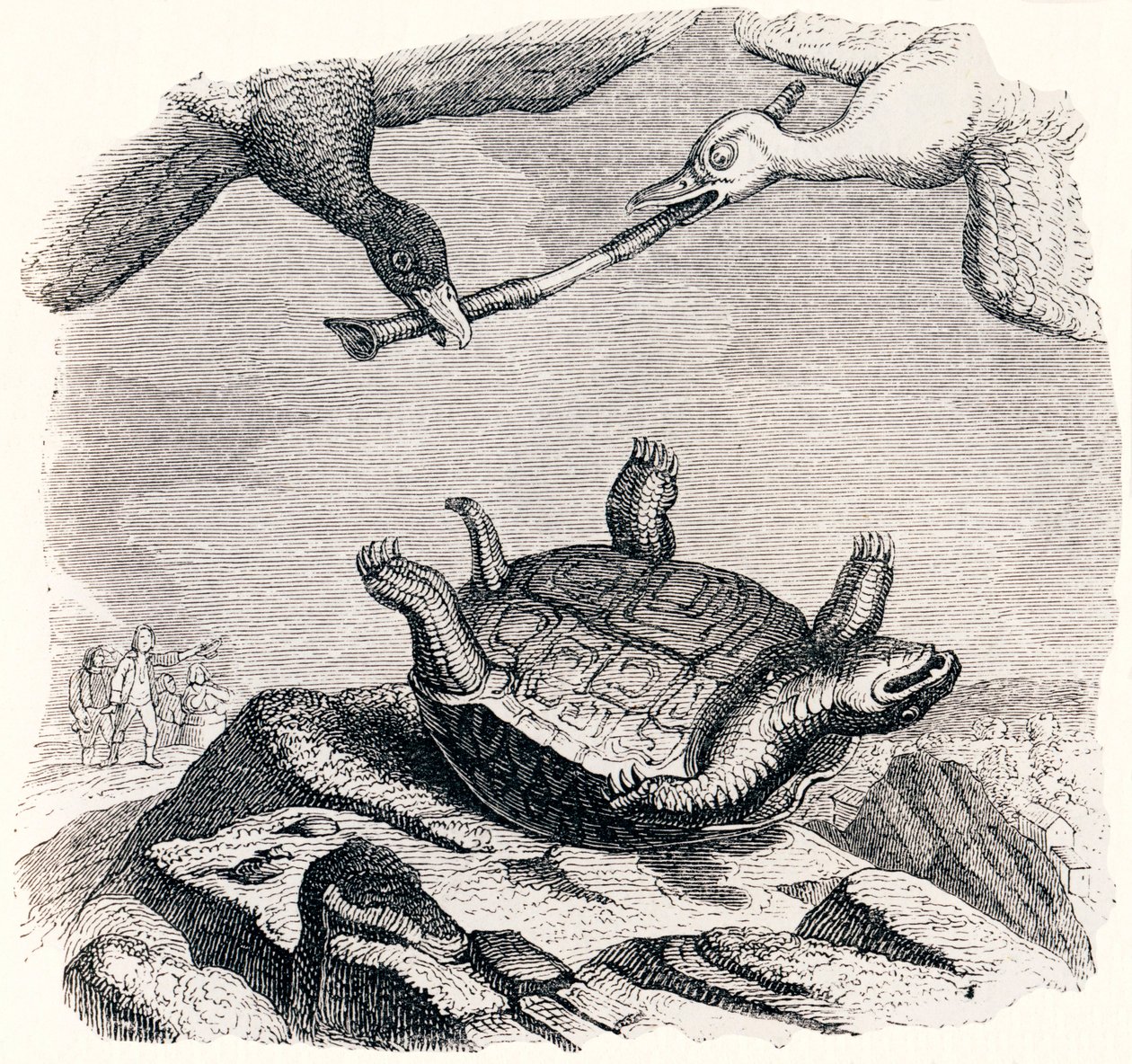 La tortue et les deux canards - Fables de La Fontaine - Grandville