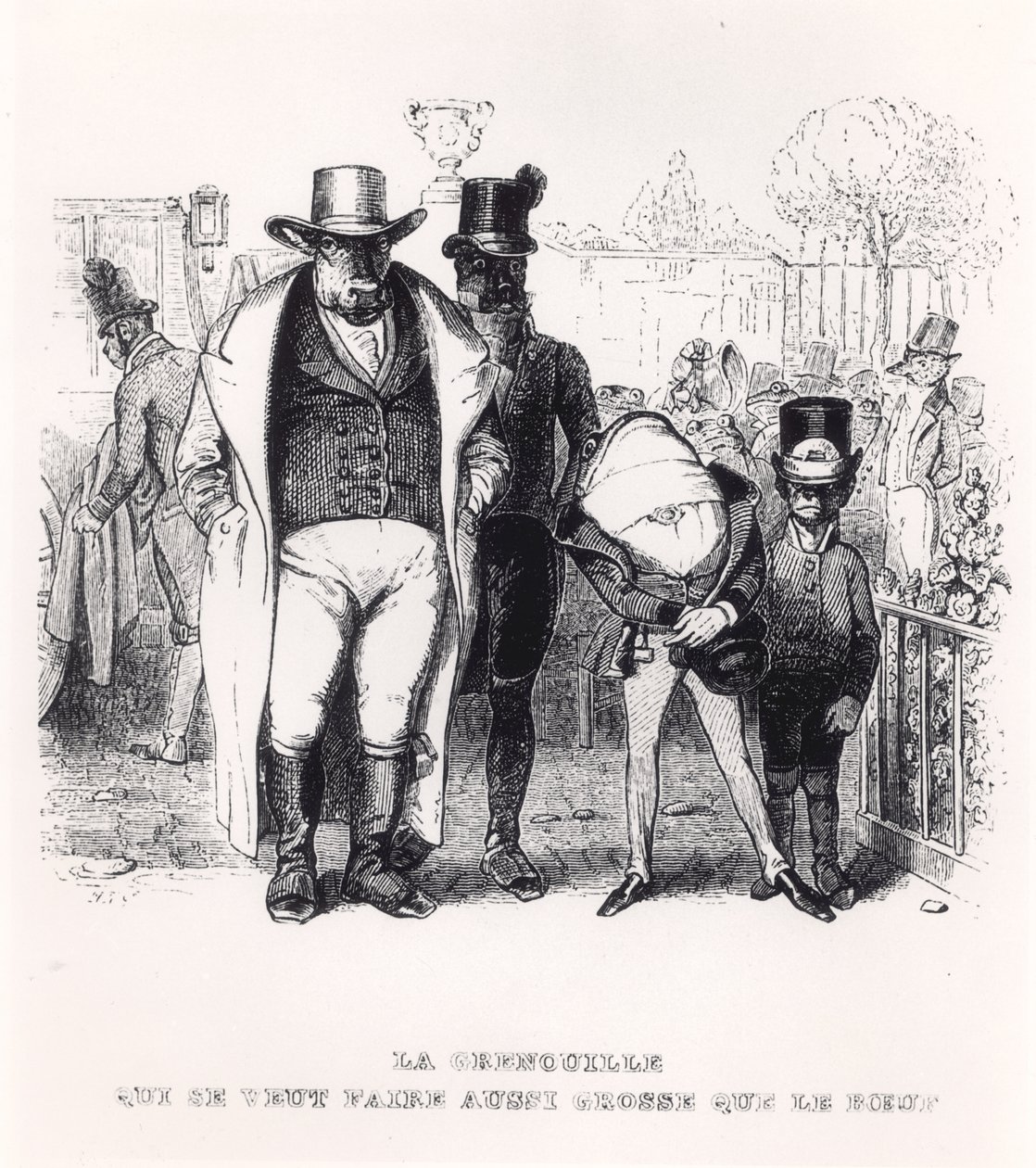 La Grenouille et le Bœuf, illustration pour les 