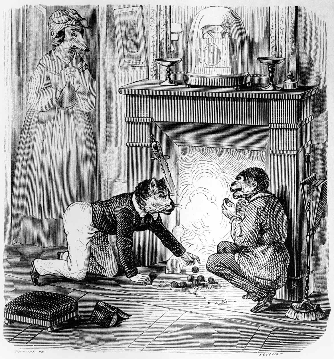 Le Singe et le Chat, illustration pour 