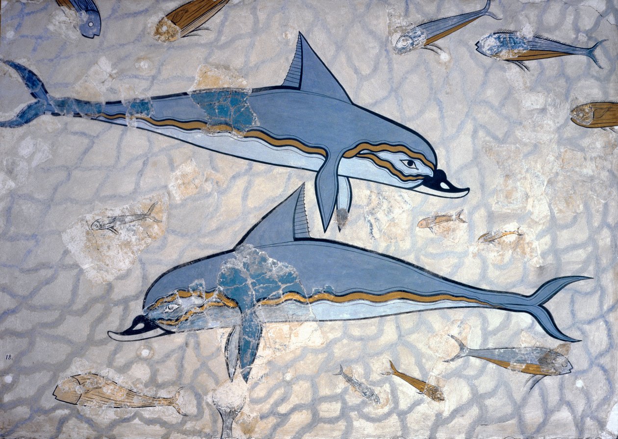 Dauphins - Greek