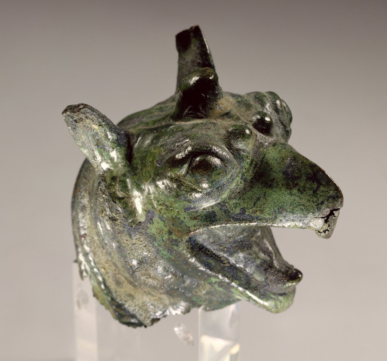 Tête de griffon, fragment d