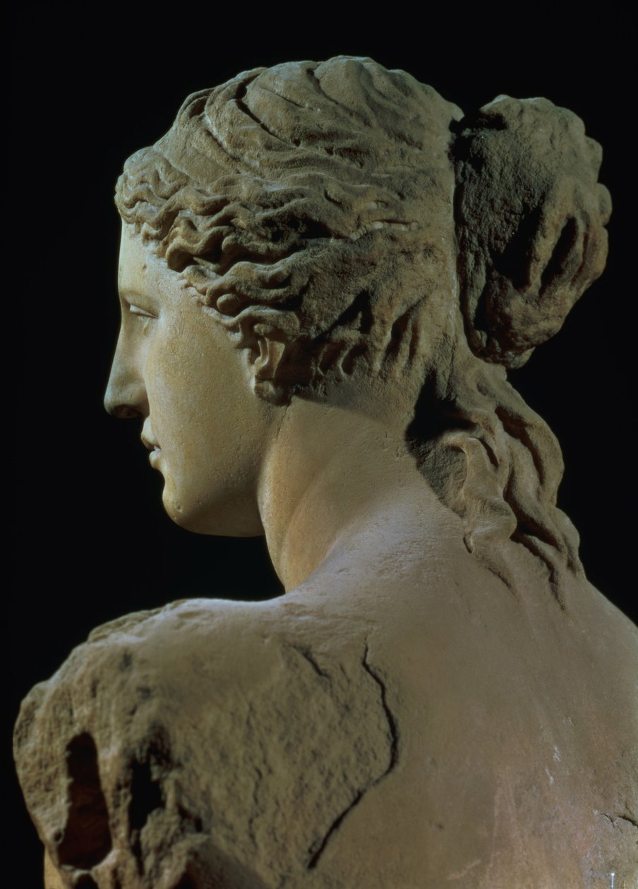 Vénus de Milo (détail) - Greek