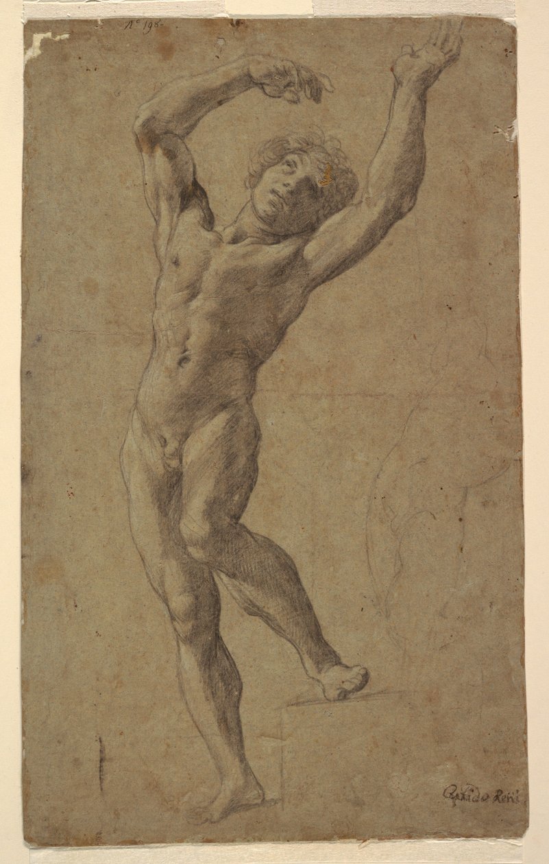 Étude pour Saint Sébastien, Museo Pomarici Santomasi, Pouilles, Italie - Guido Reni