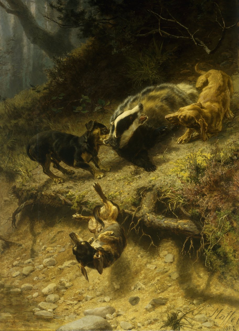 Teckels sur un Blaireau, 1882 - Guido von Maffei
