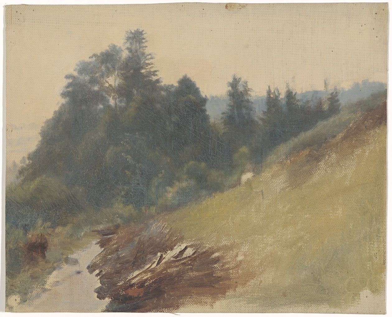 Pente de montagne avec des pins - Guillaume Anne van der Brugghen