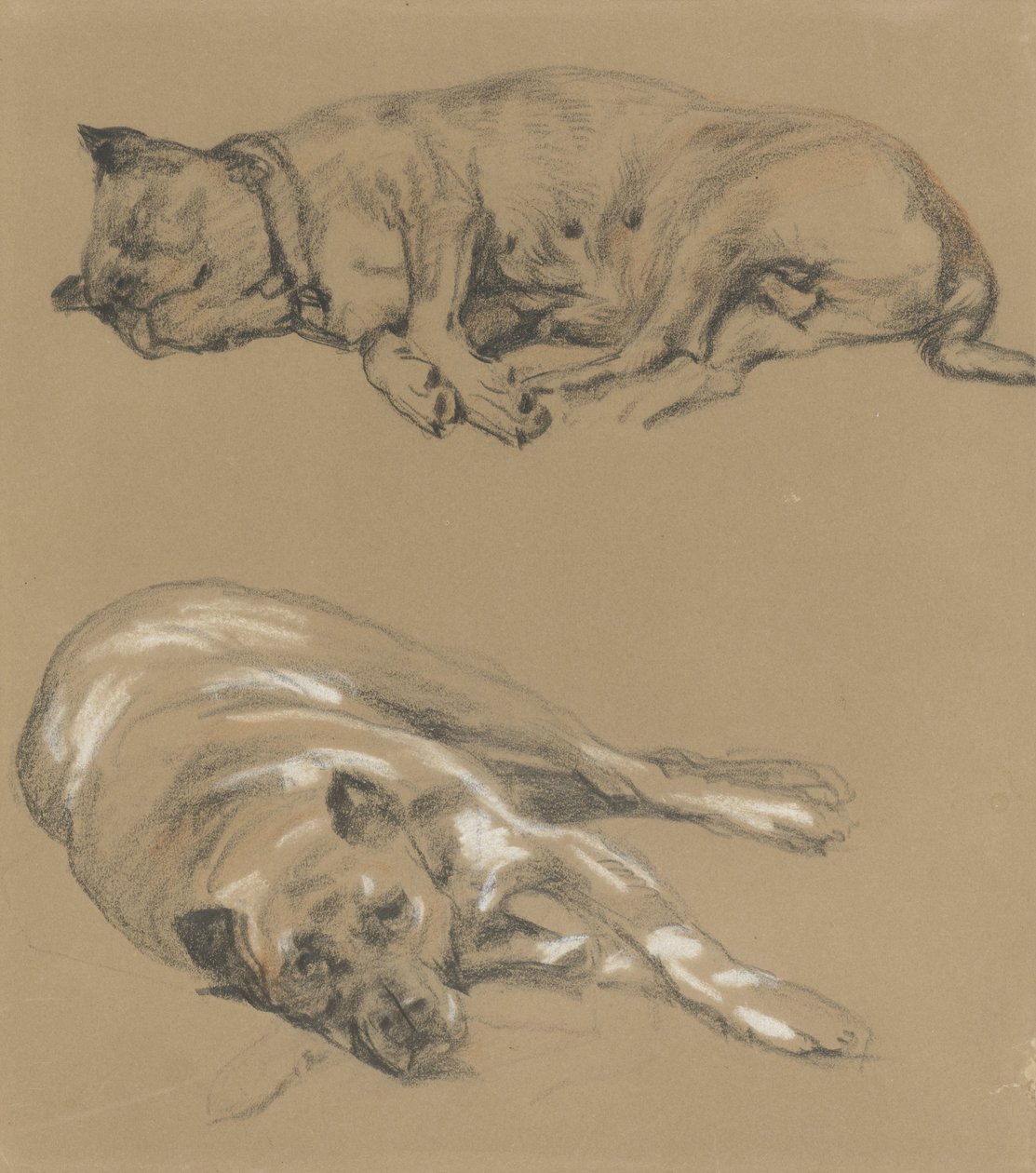 Deux études d