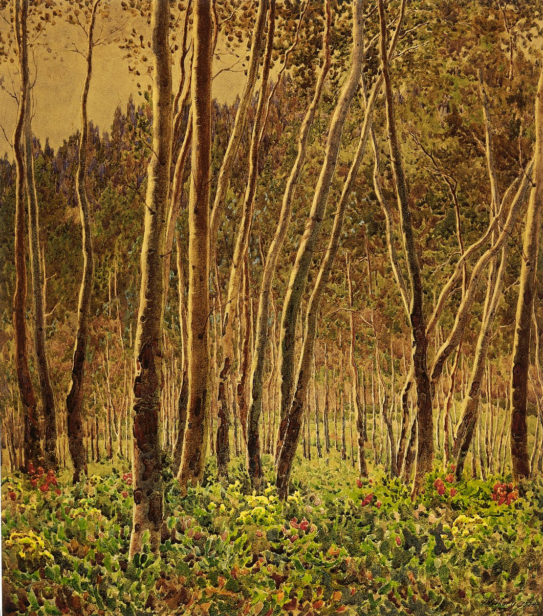 Bouleaux ensoleillés - Gunnar Widforss
