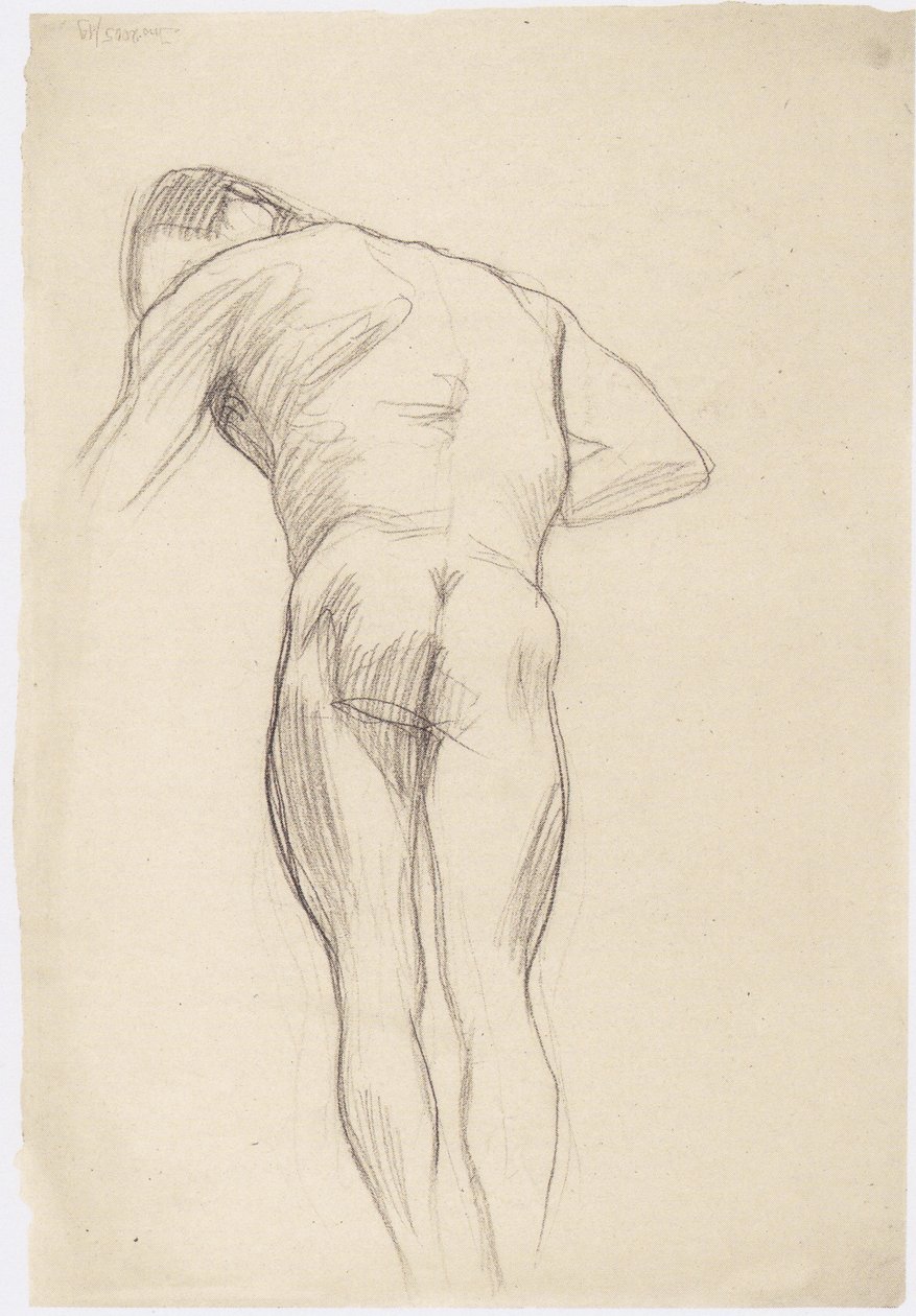 Dos nu masculin vers la gauche - Gustav Klimt