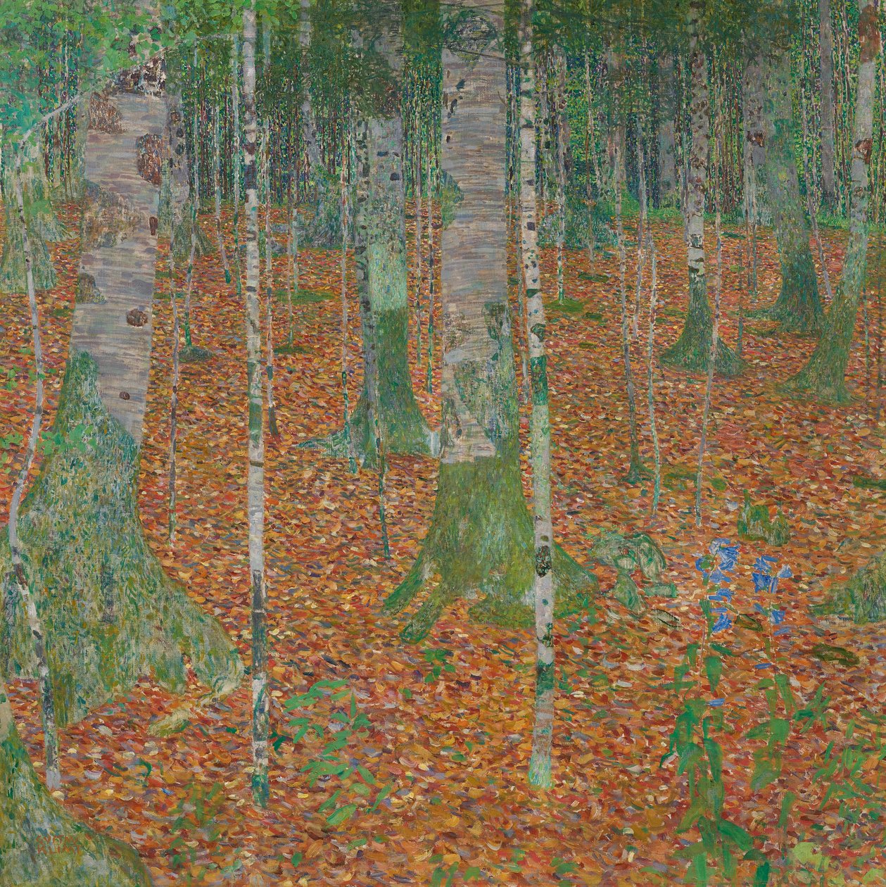 Forêt de bouleaux - Gustav Klimt