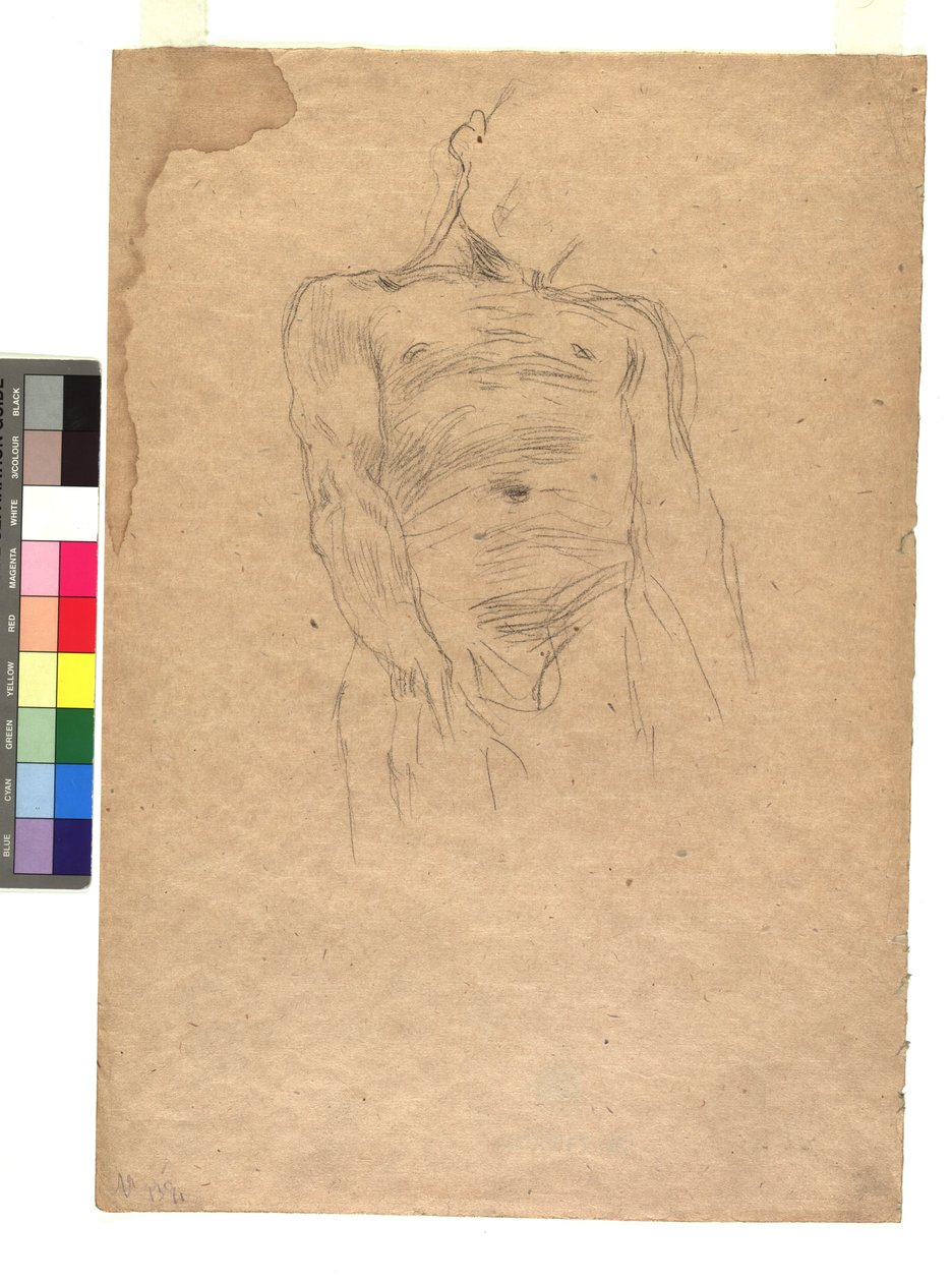 Männlicher Torso - Gustav Klimt