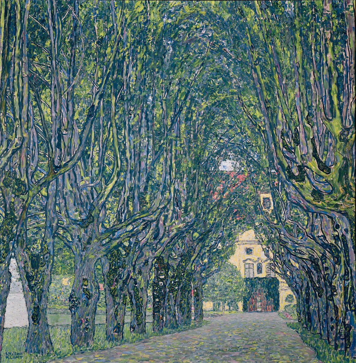 Route bordée d
