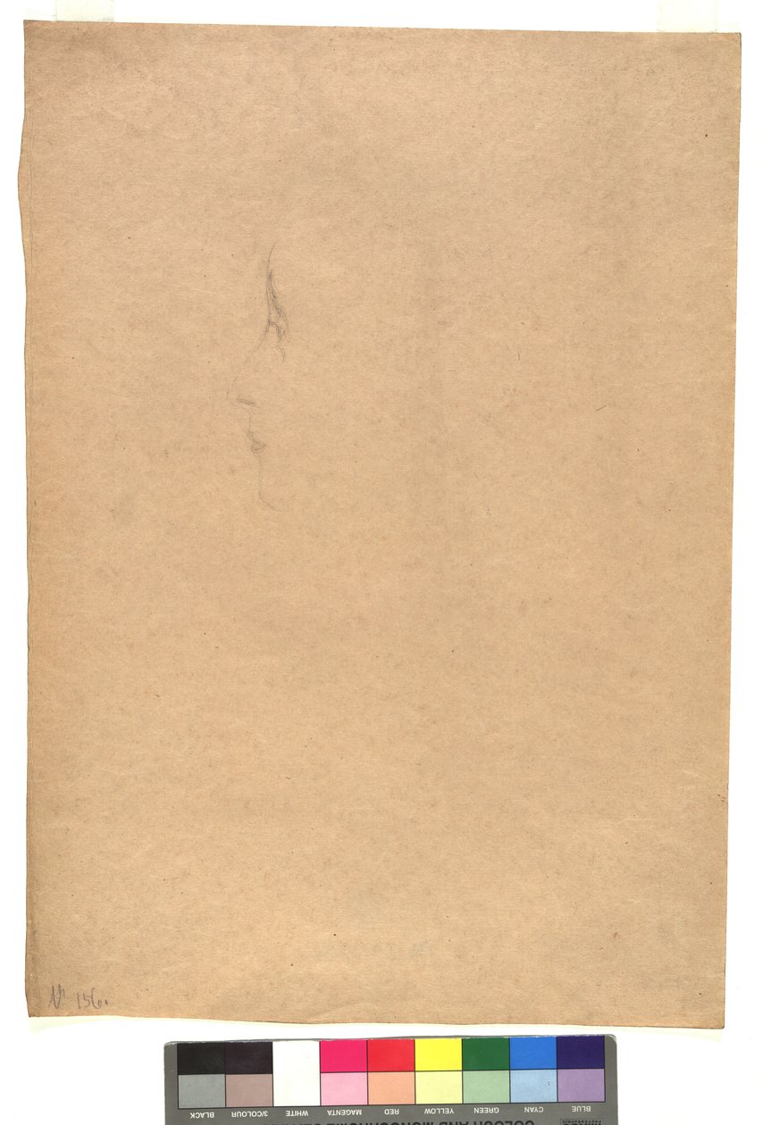 Weibliches Gesicht im Profil nach links - Gustav Klimt