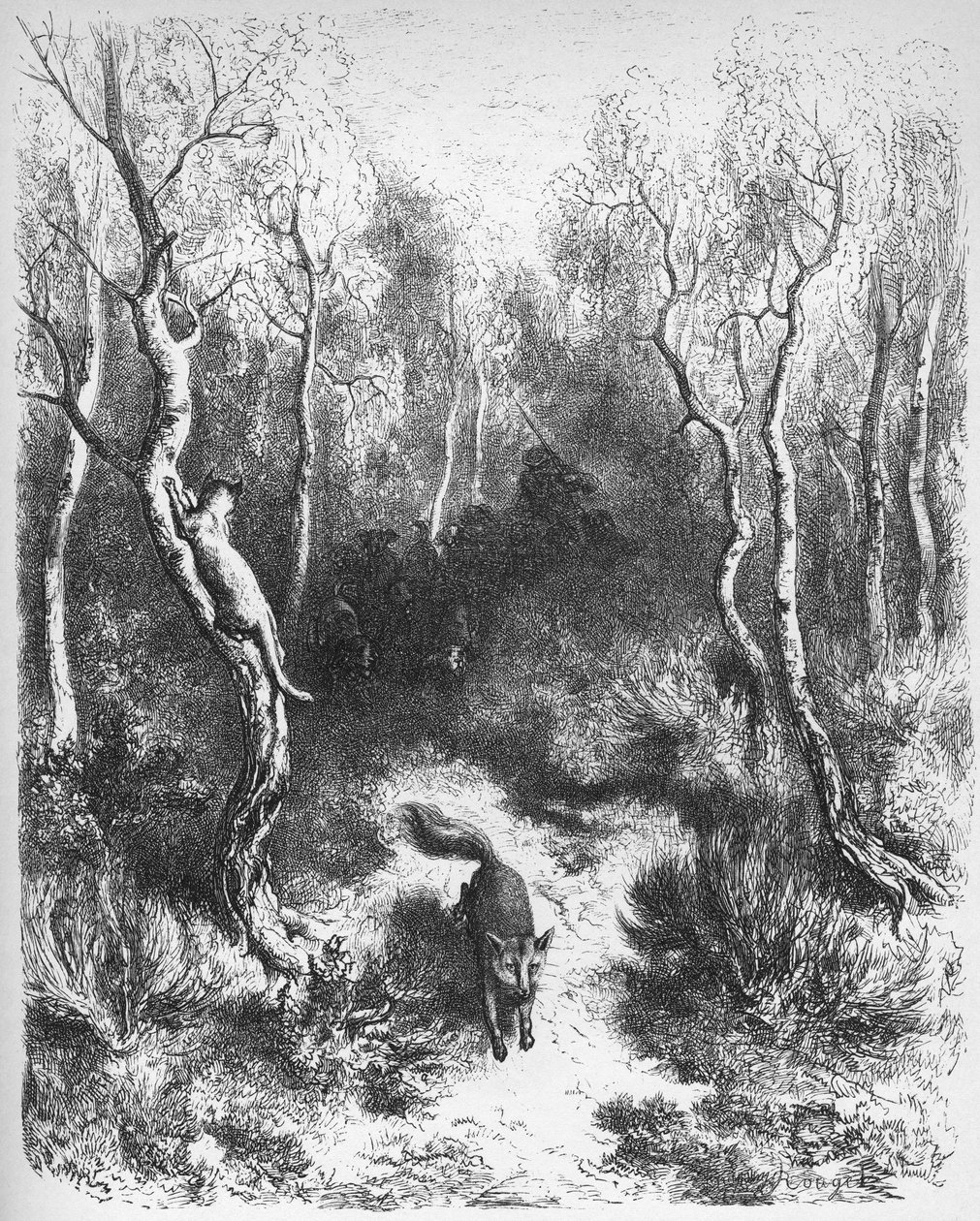 Le chat et le renard - des 