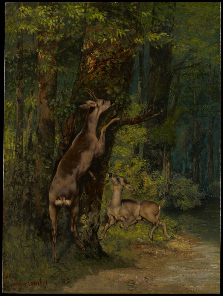 Cerfs dans la forêt - Gustave Courbet