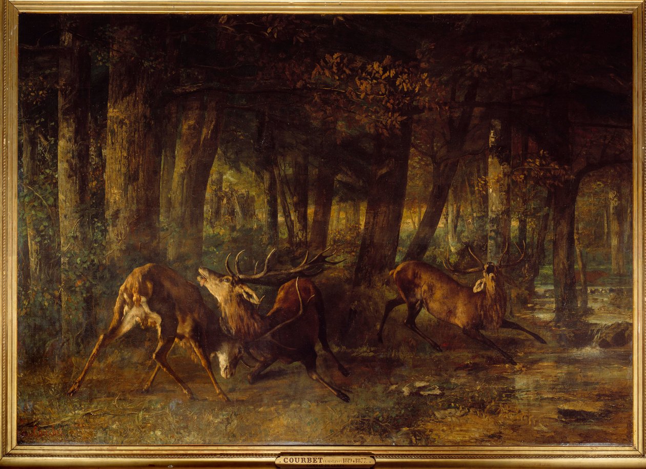 Rut de printemps, combat de cerfs - Gustave Courbet