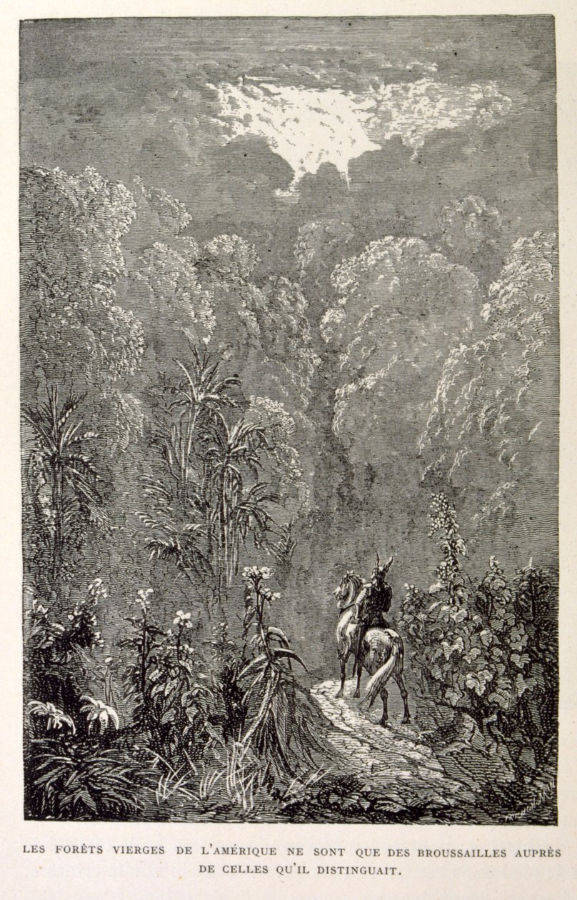 Illustration de la forêt américaine. de La légende de Croque-Mitaine. - Gustave Dore