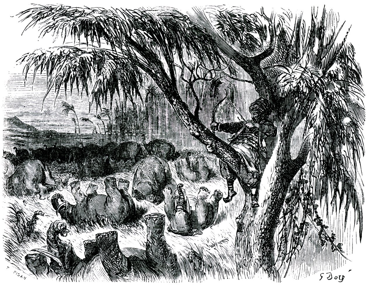 Sindbad le marin - conte des mille et une nuits - illustration de Gustave Doré - édition Maxwell 1865 - Septième voyage : Sindbad, perché dans un arbre, tire avec son arc sur des éléphants - Gustave Dore