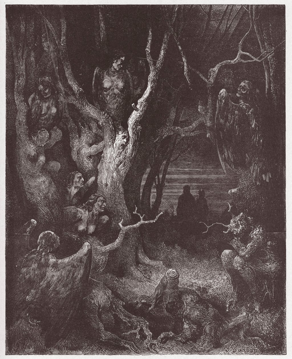 La Divine Comédie, Enfer, Chant 13: Les Harpies dans la forêt des suicidés - Illustration de Gustave Doré - Gustave Dore
