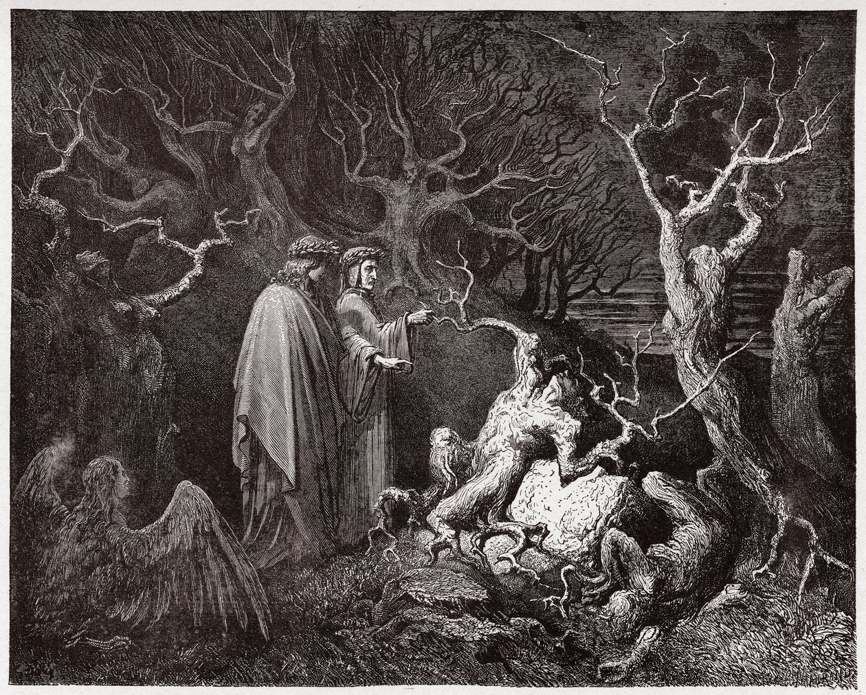 La Divine Comédie, Enfer, Chant 13: Les suicidés dans la forêt - Illustration de Gustave Doré - Gustave Dore