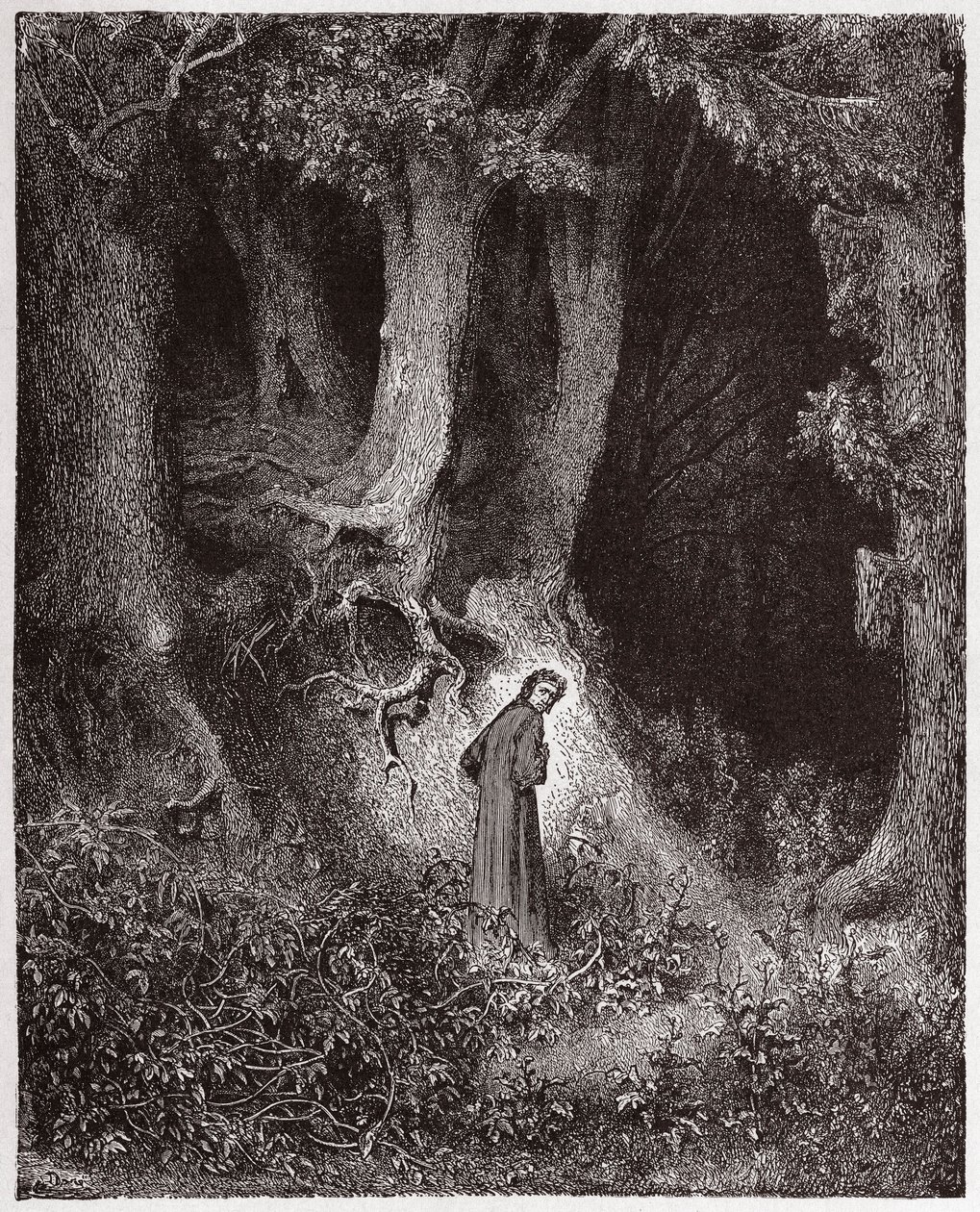La Divine Comédie, Enfer, Chant 1: Dante dans la forêt sauvage - Illustration de Gustave Doré - Gustave Dore