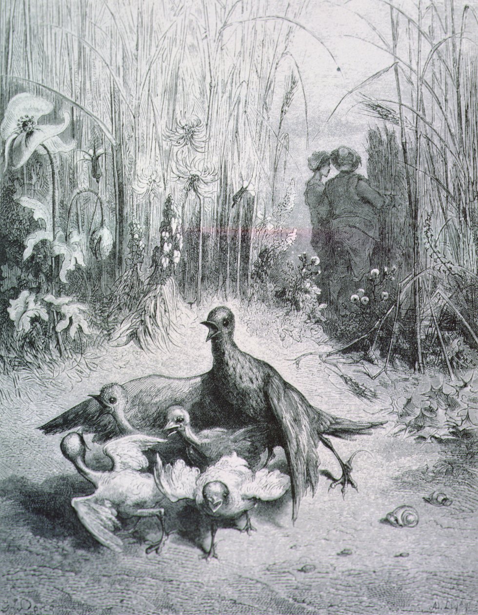La fable de l
