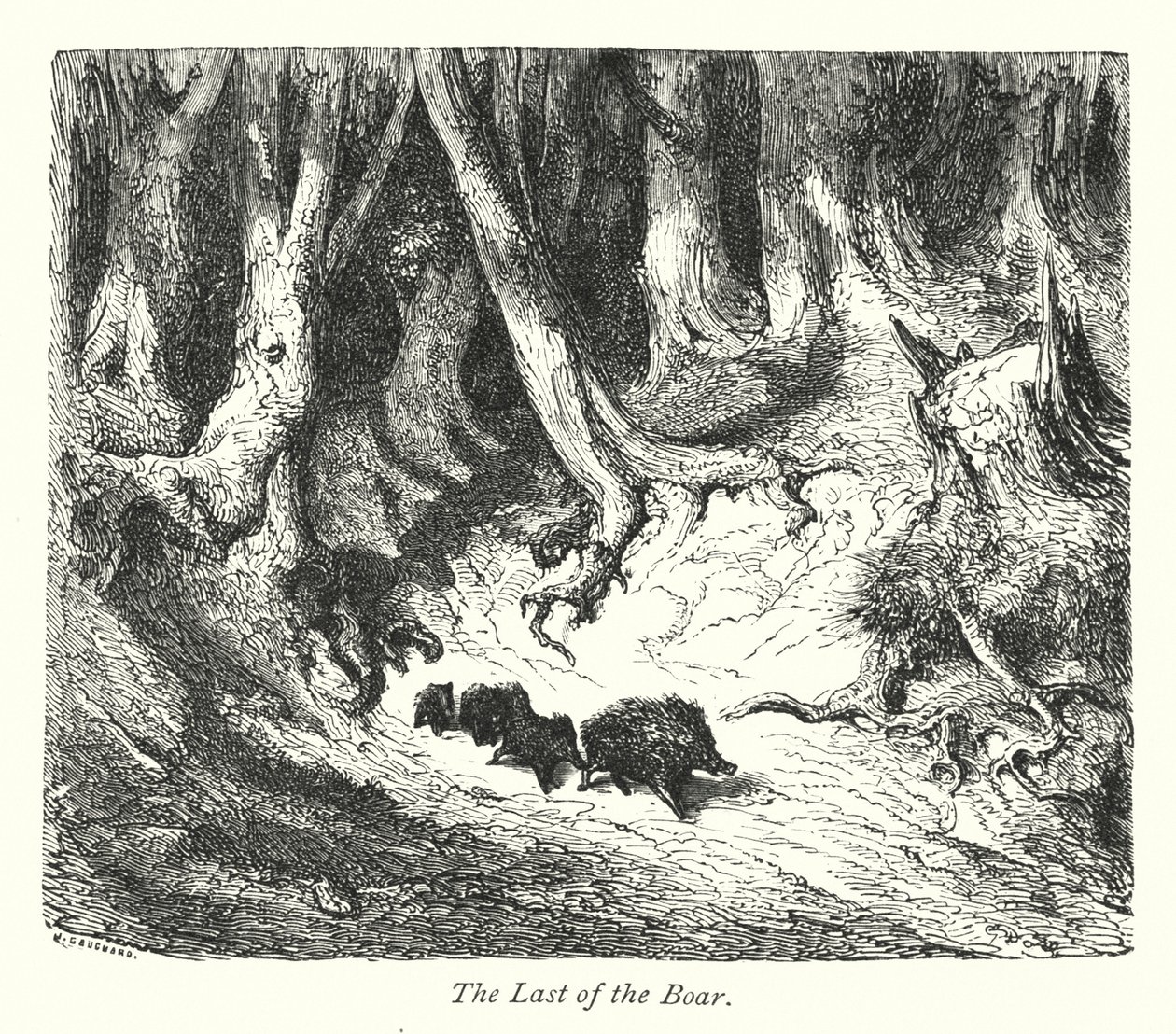 Le dernier sanglier (gravure) - Gustave Dore