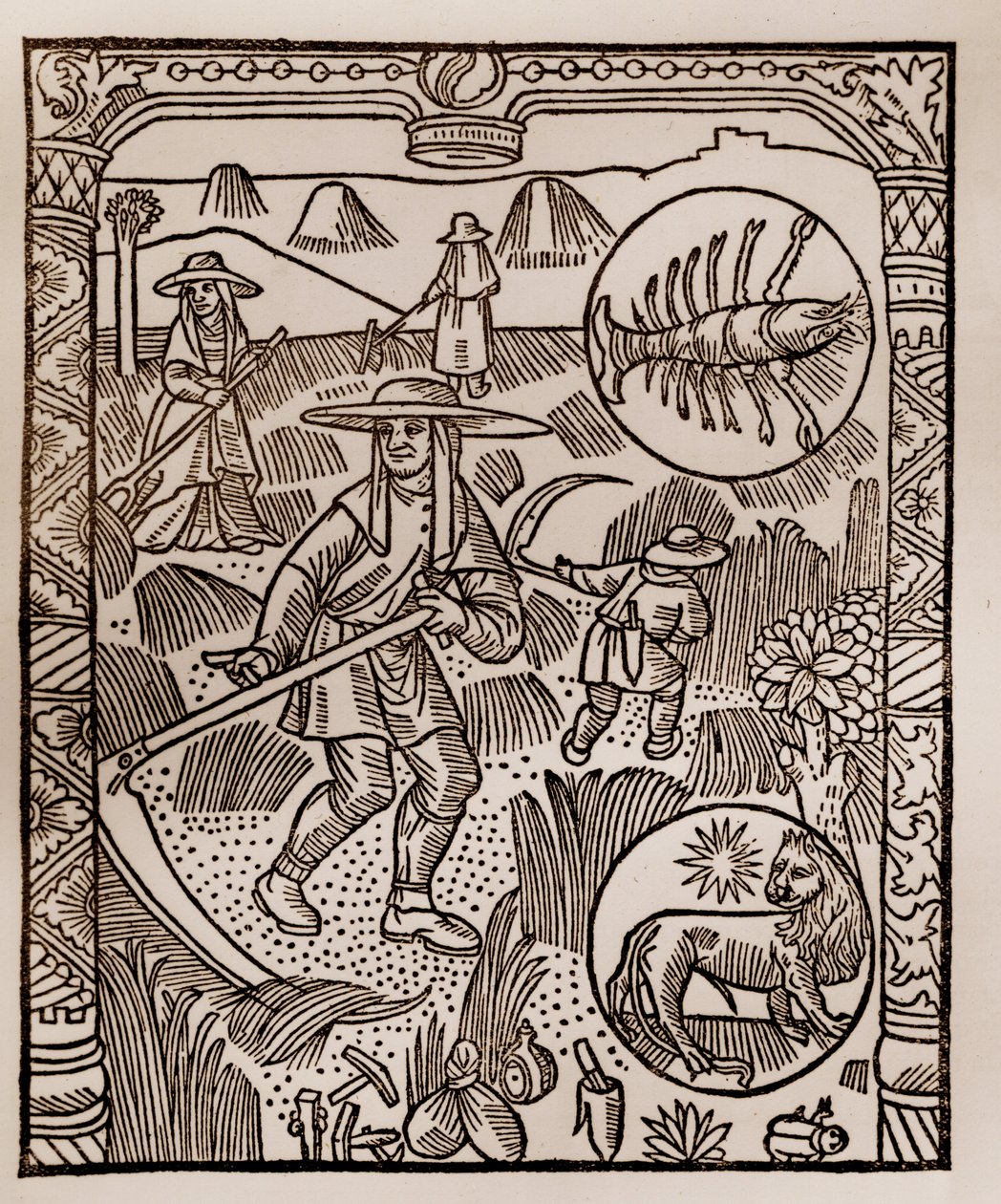 Calendrier des bergers - Les travaux des mois - Juillet - Gravure sur bois du livre de 1496 imprimé par Guy Marchant (Guido Mercator) à Troyes - Foin, la coupe des foins - Gravure sur bois dans « Le grand Calendrier et compost des bergers » - Guy Marchant