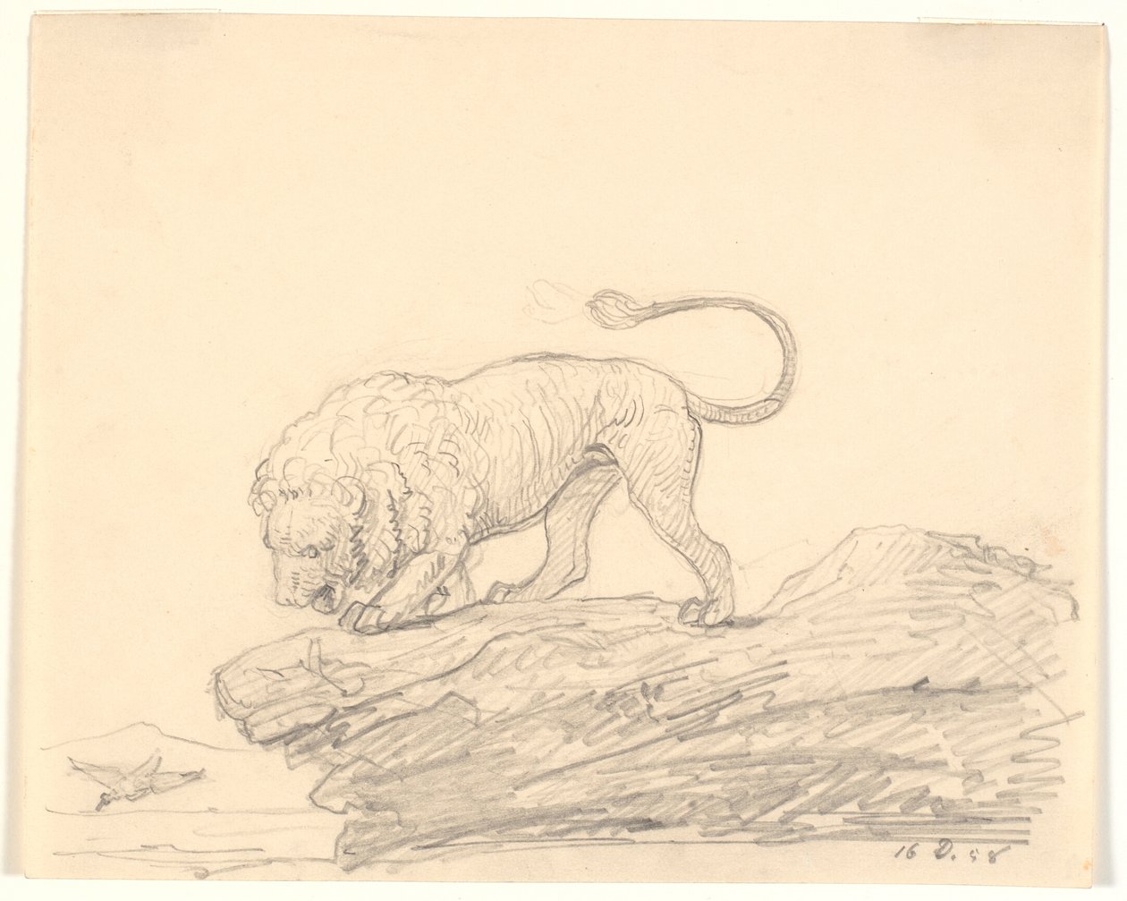 Un lion sur un rocher. Il regarde un oiseau volant - H.W. Bissen