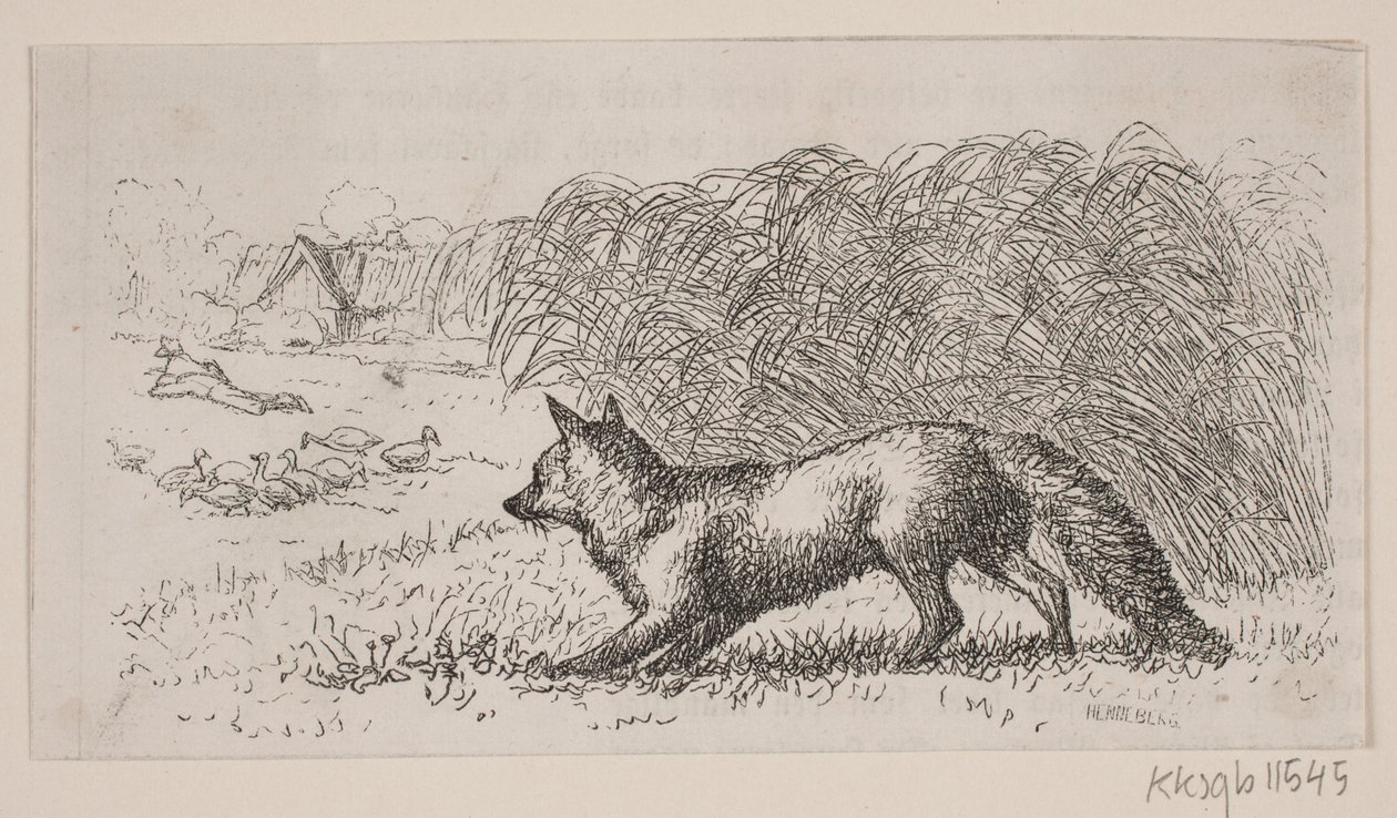 Illustration pour : "Hr. Mikkel" - H. C. Henneberg