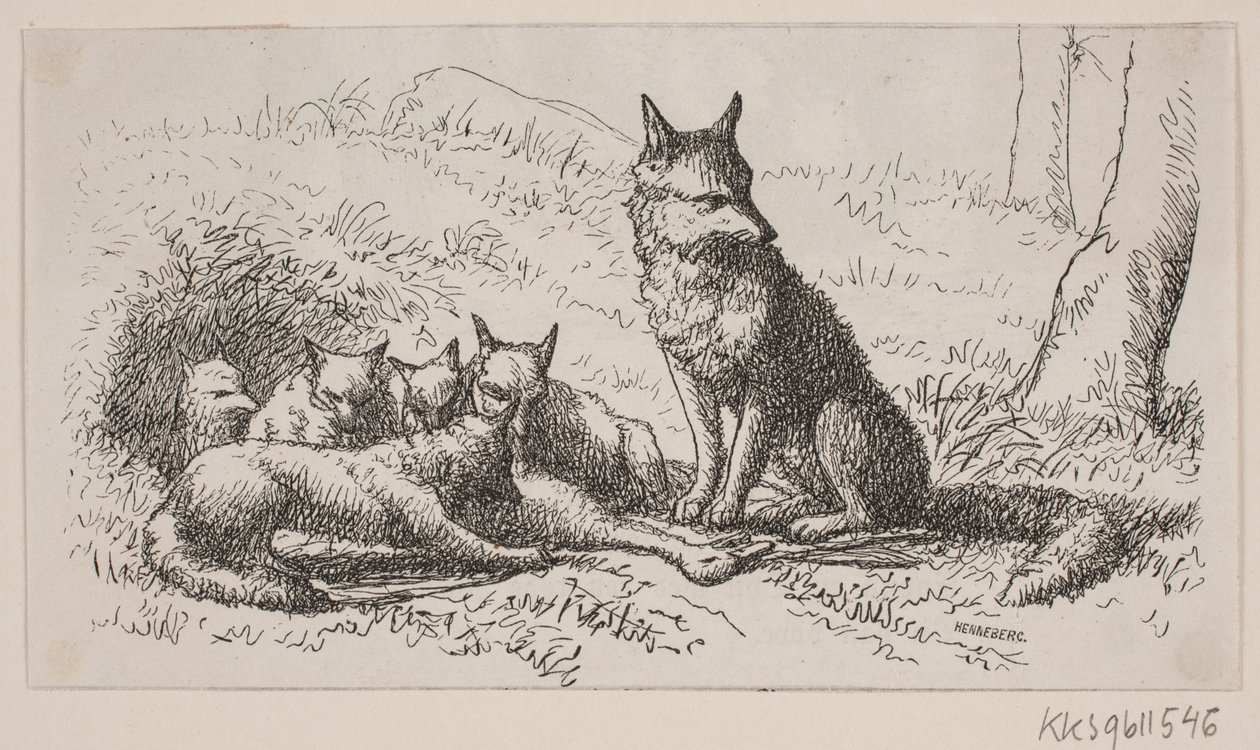 Illustration pour : "M. Mikkel" - H. C. Henneberg