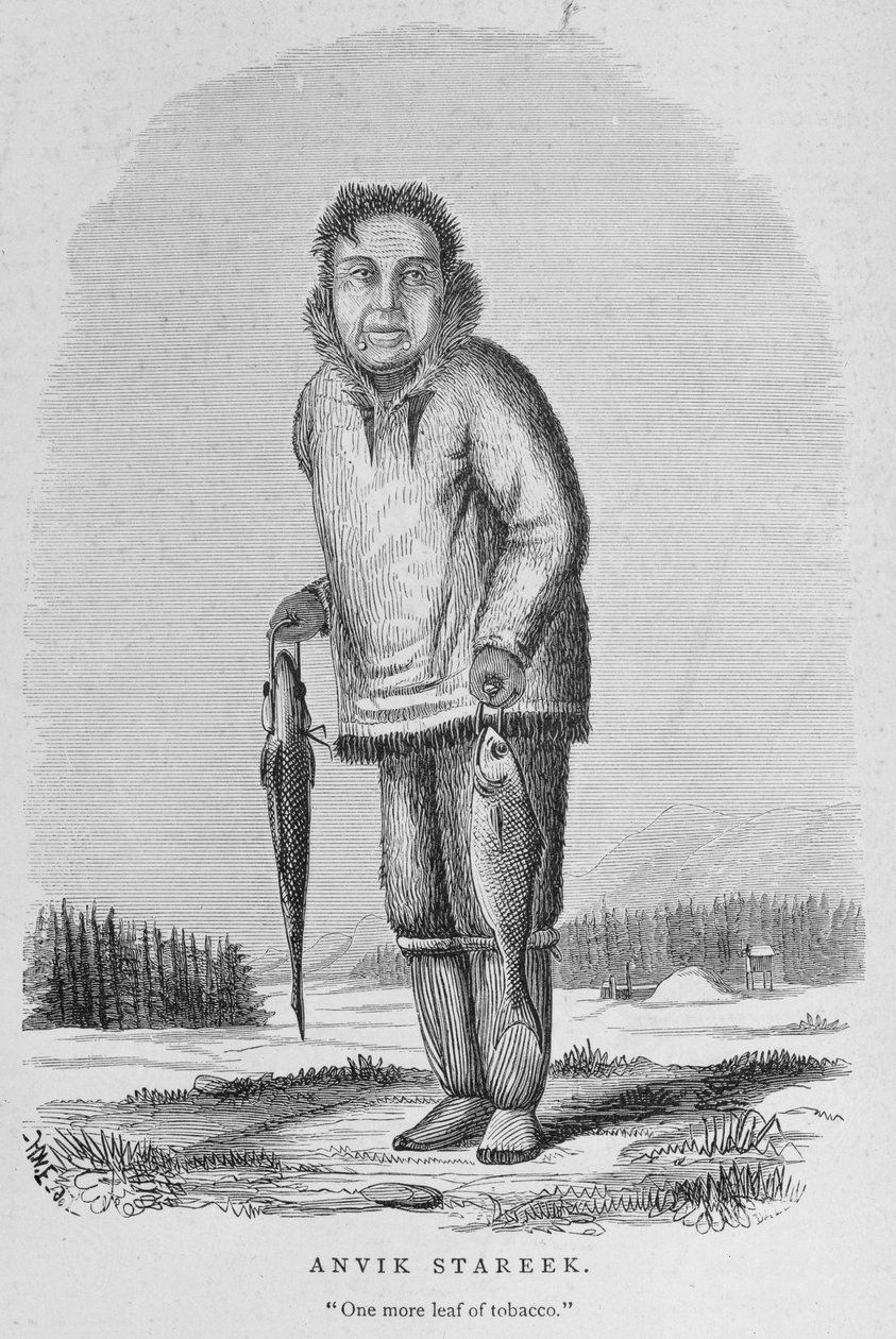 Anvik Stareek ou 