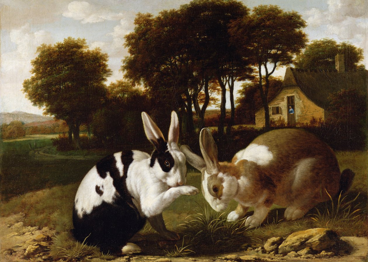 Deux lapins dans un paysage, vers 1650 - Haarlem School