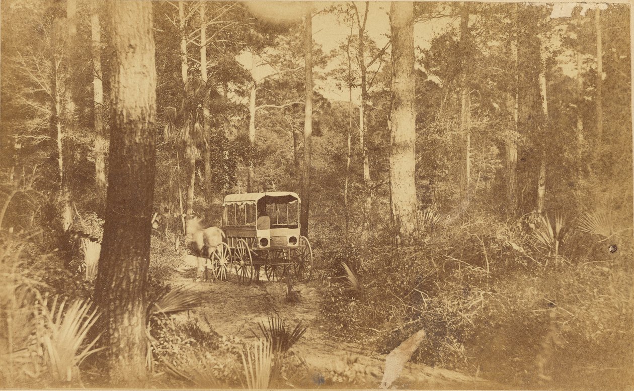 Scène sur l