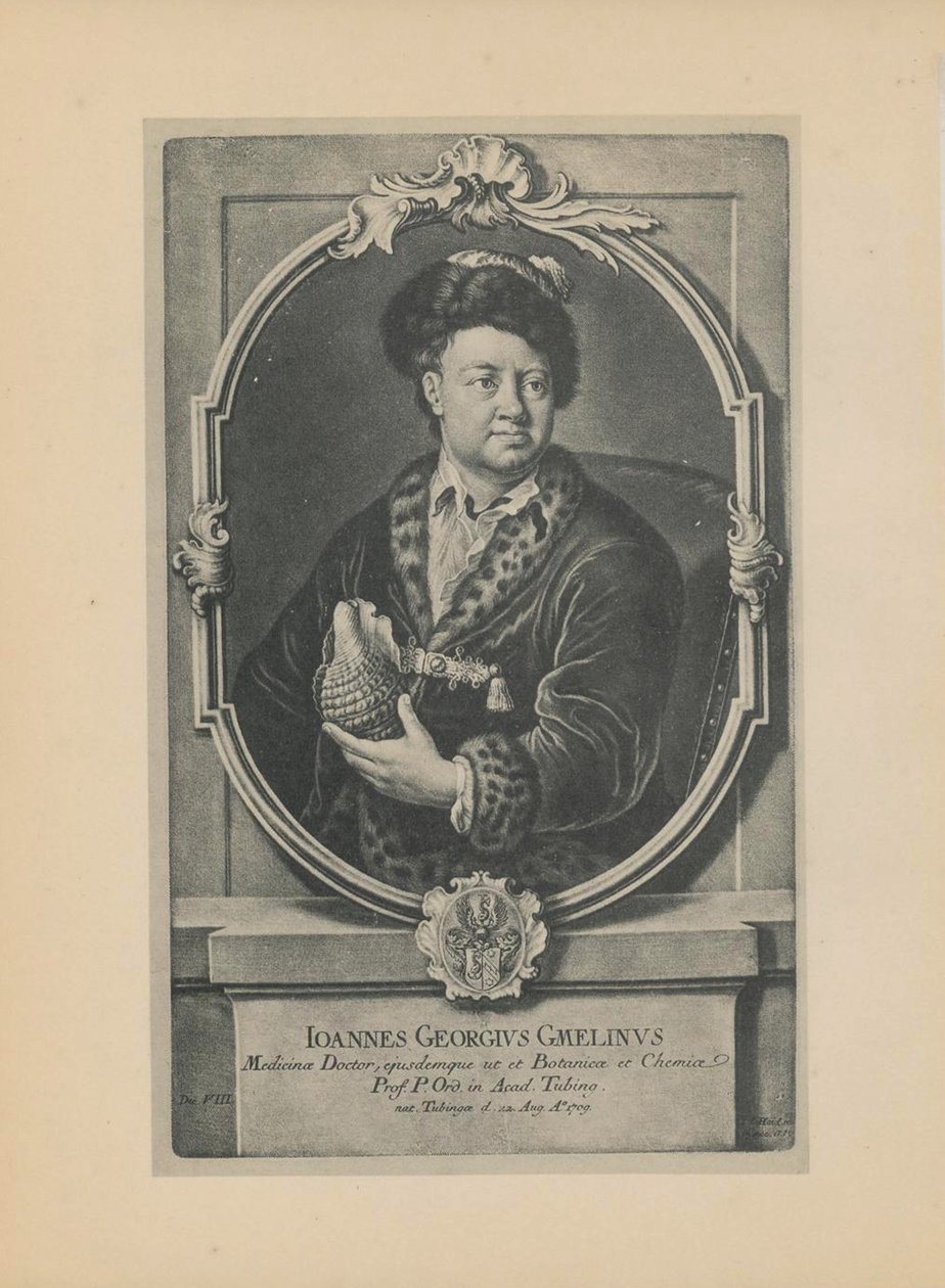 Portrait du naturaliste, botaniste et géographe Johann Georg Gmelin 1709-1755, milieu du 18e siècle - Haid